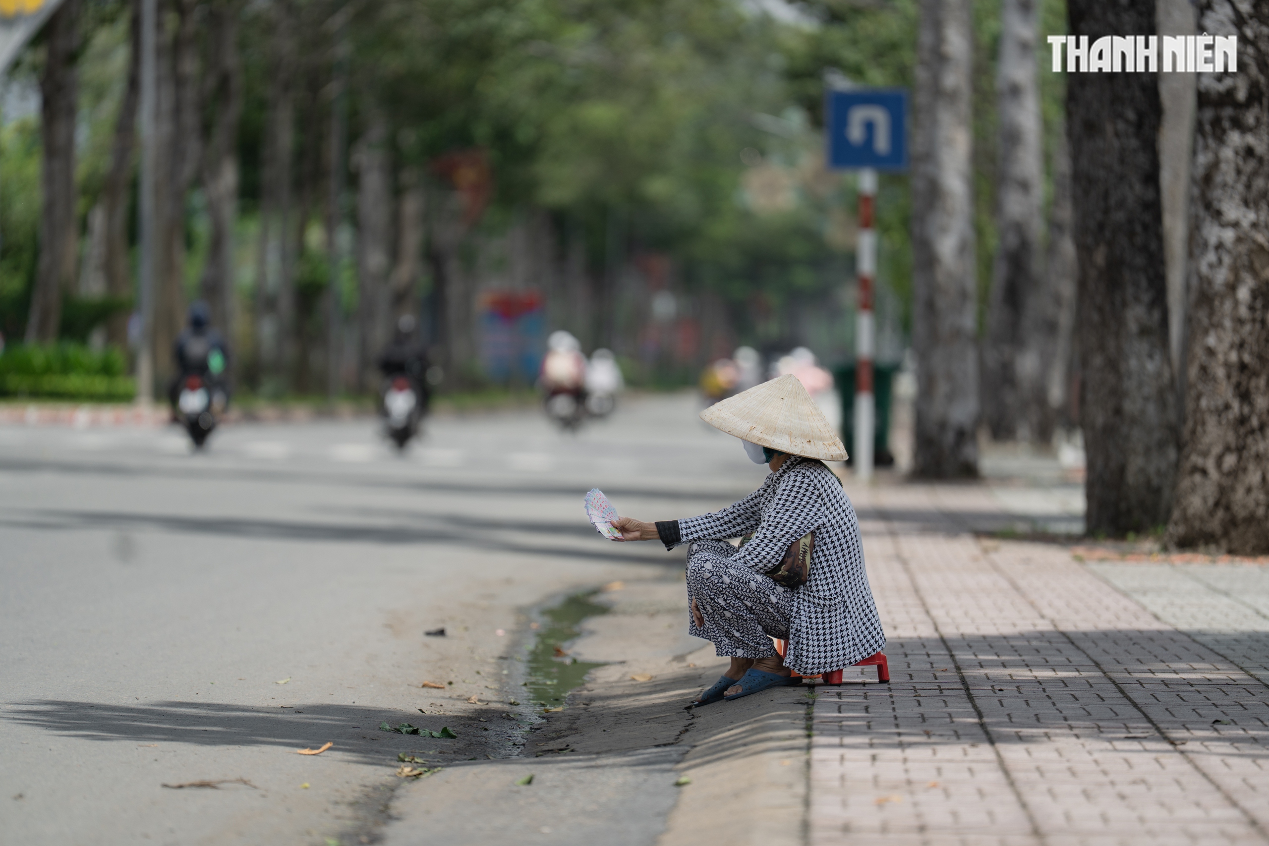 Hơn 800 cây cổ thụ trên 100 tuổi giữa đô thị xanh Vĩnh Long- Ảnh 13.