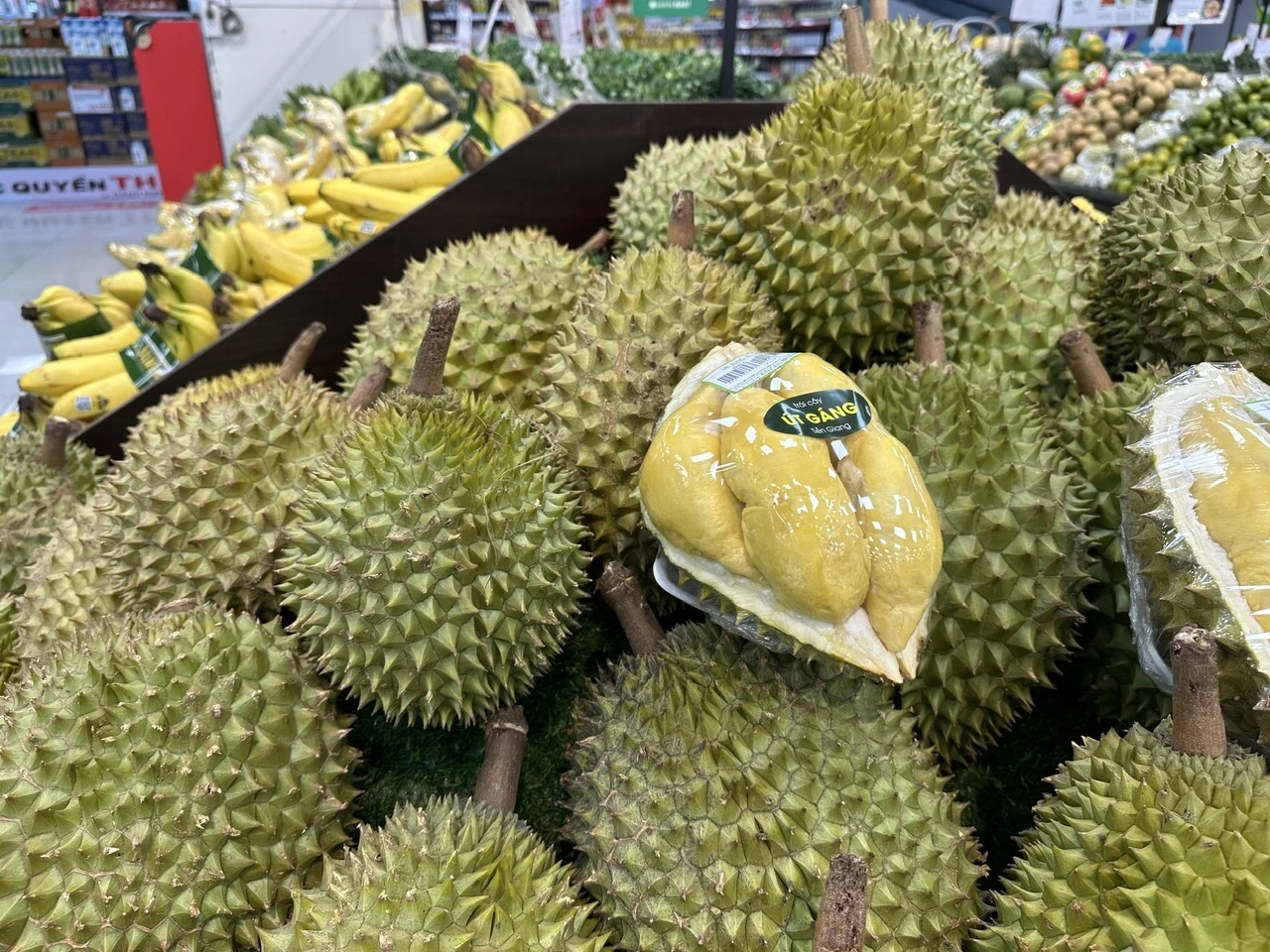 Người Việt 'chi bạo' cho sầu riêng ngoại, vì sao?- Ảnh 1. Người Việt 'chi bạo' cho sầu riêng ngoại, vì sao?- Ảnh 1.