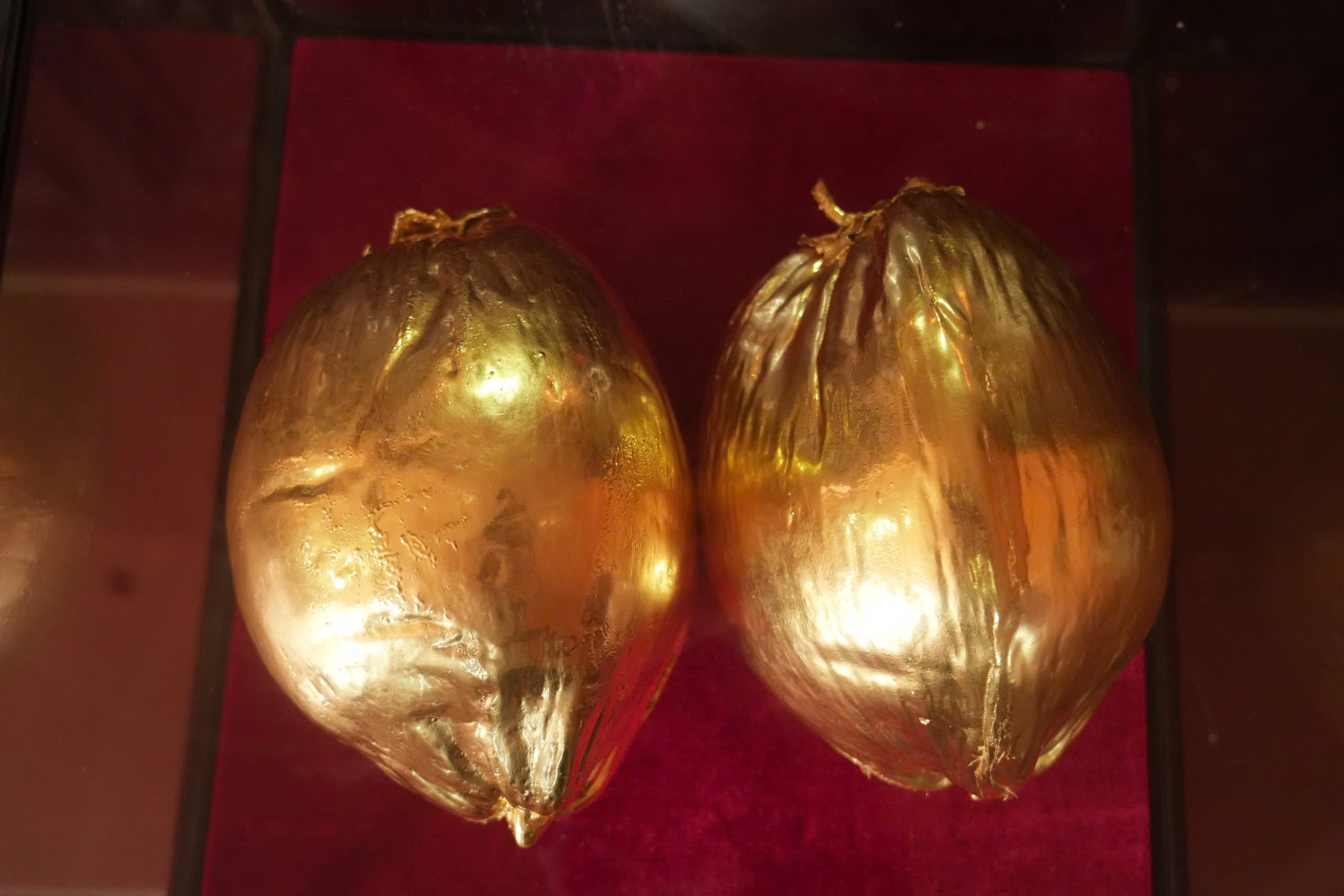 En hommage au « père » du cocotier à cire de Vinh Long - Photo 4. Truy tôn 'cha đẻ' của cây dừa sáp ở Vĩnh Long- Ảnh 4.