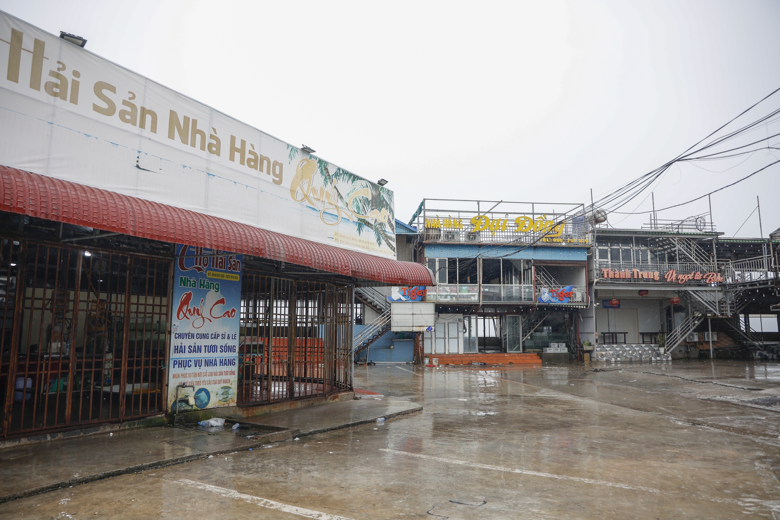 Hàng trăm tàu cá neo đậu về bờ biển Ninh Bình tránh bão số 3 (Wipha) - Ảnh 5.