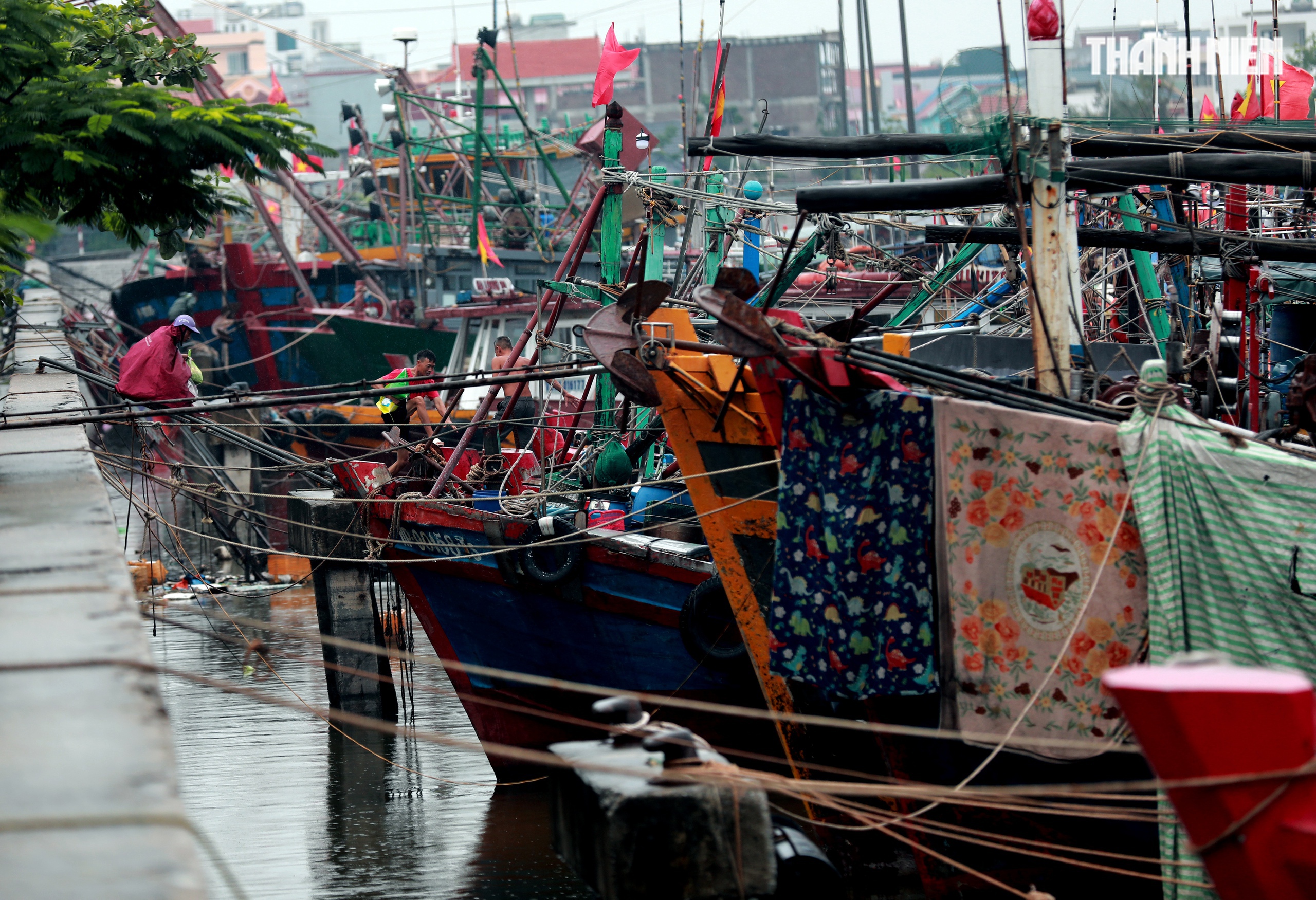 Người dân Hải Phòng căng mình ứng phó bão số 3 (Wipha)- Ảnh 7.