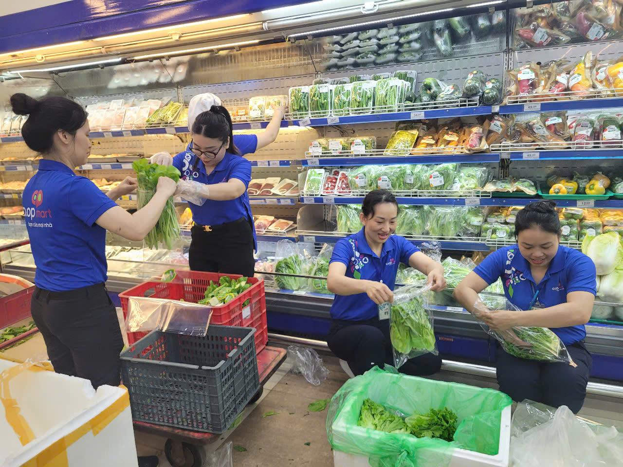 Co.opmart đảm bảo nguồn hàng ổn định và hỗ trợ cộng đồng an toàn vượt bão- Ảnh 1. Co.opmart đảm bảo nguồn hàng ổn định và hỗ trợ cộng đồng an toàn vượt bão- Ảnh 1.