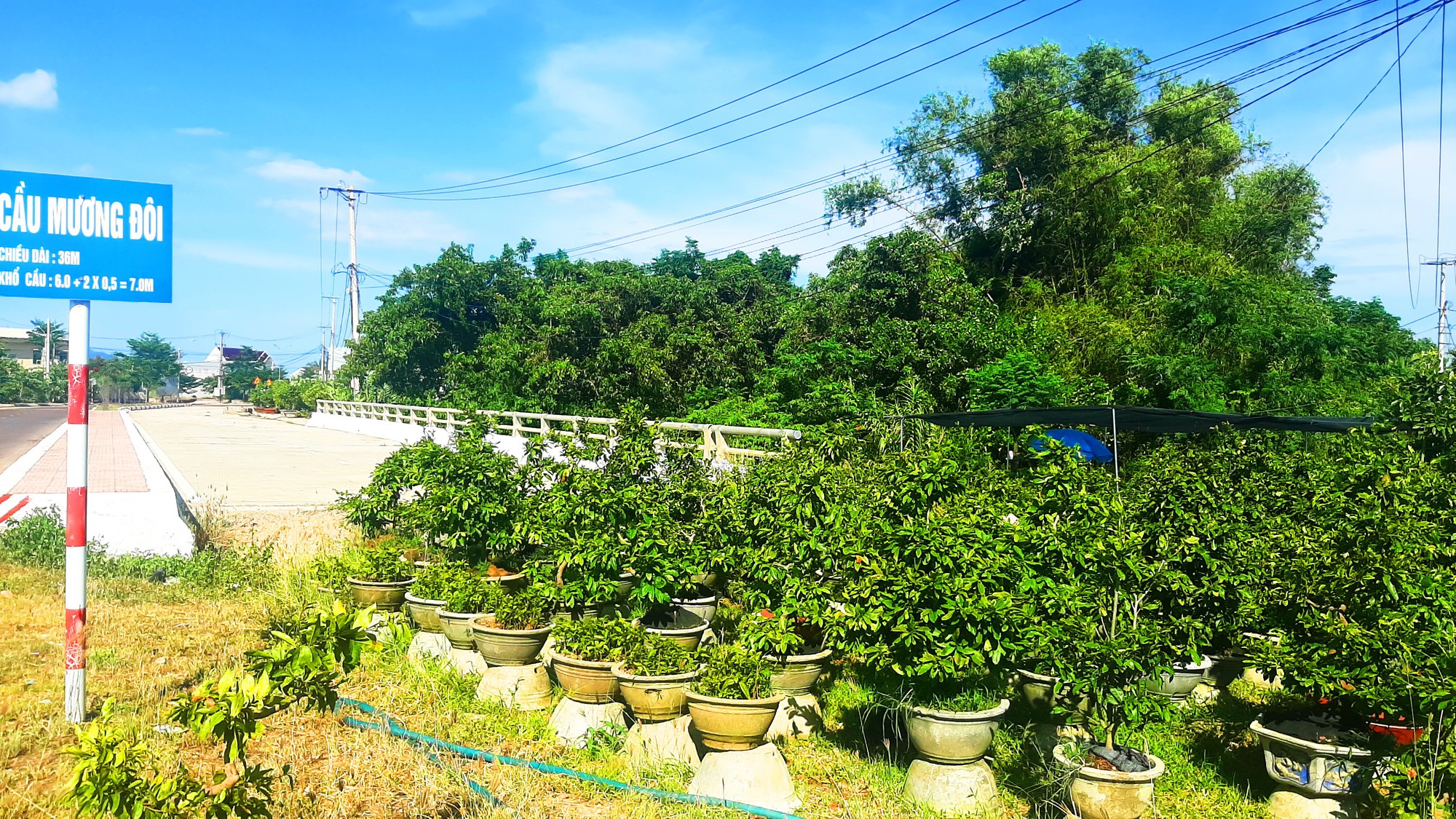 Cầu làm xong nhưng chưa thể sử dụng vì vướng mặt bằng Cầu làm xong nhưng chưa thể sử dụng vì vướng mặt bằng