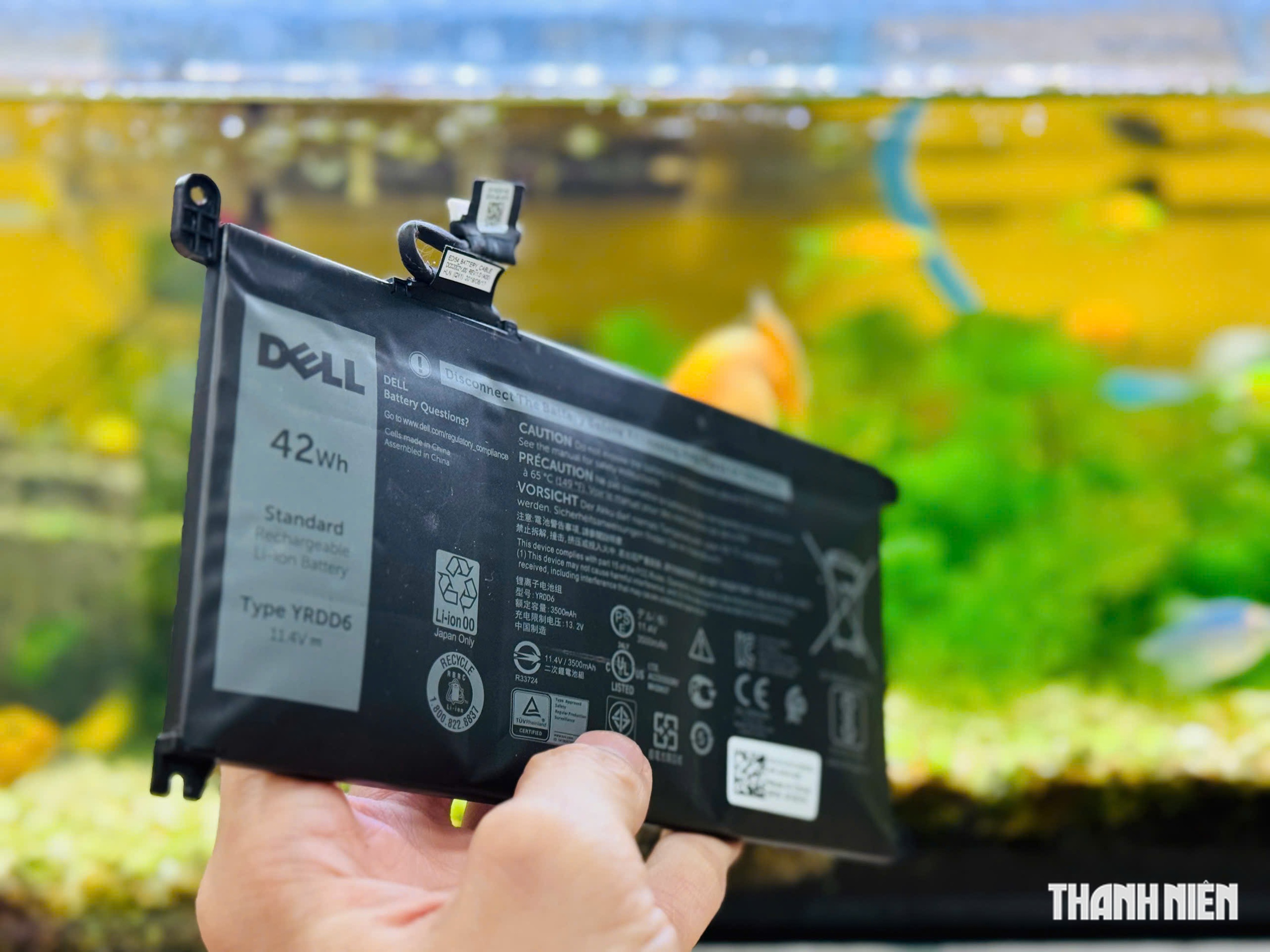 Đừng mua laptop tân trang nếu bạn chưa biết về bí mật ẩn giấu bên trong - Ảnh 1.