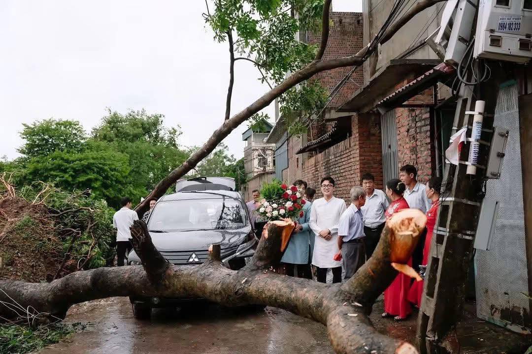 Bộ ảnh cưới độc đáo bên gốc cây ngã đổ sau bão gây sốt giới trẻ - Ảnh 2.