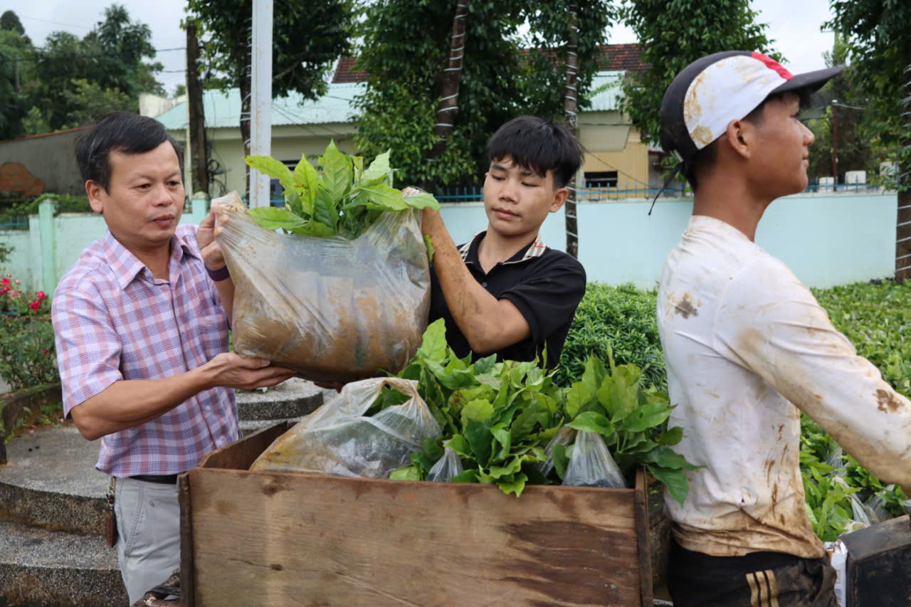 Đại hội Đảng bộ xã Tu Mơ Rông nhận cây giống để giúp người nghèo phát triển sinh kế - Ảnh 1. Đại hội Đảng bộ xã Tu Mơ Rông nhận cây giống để giúp người nghèo phát triển sinh kế - Ảnh 1.