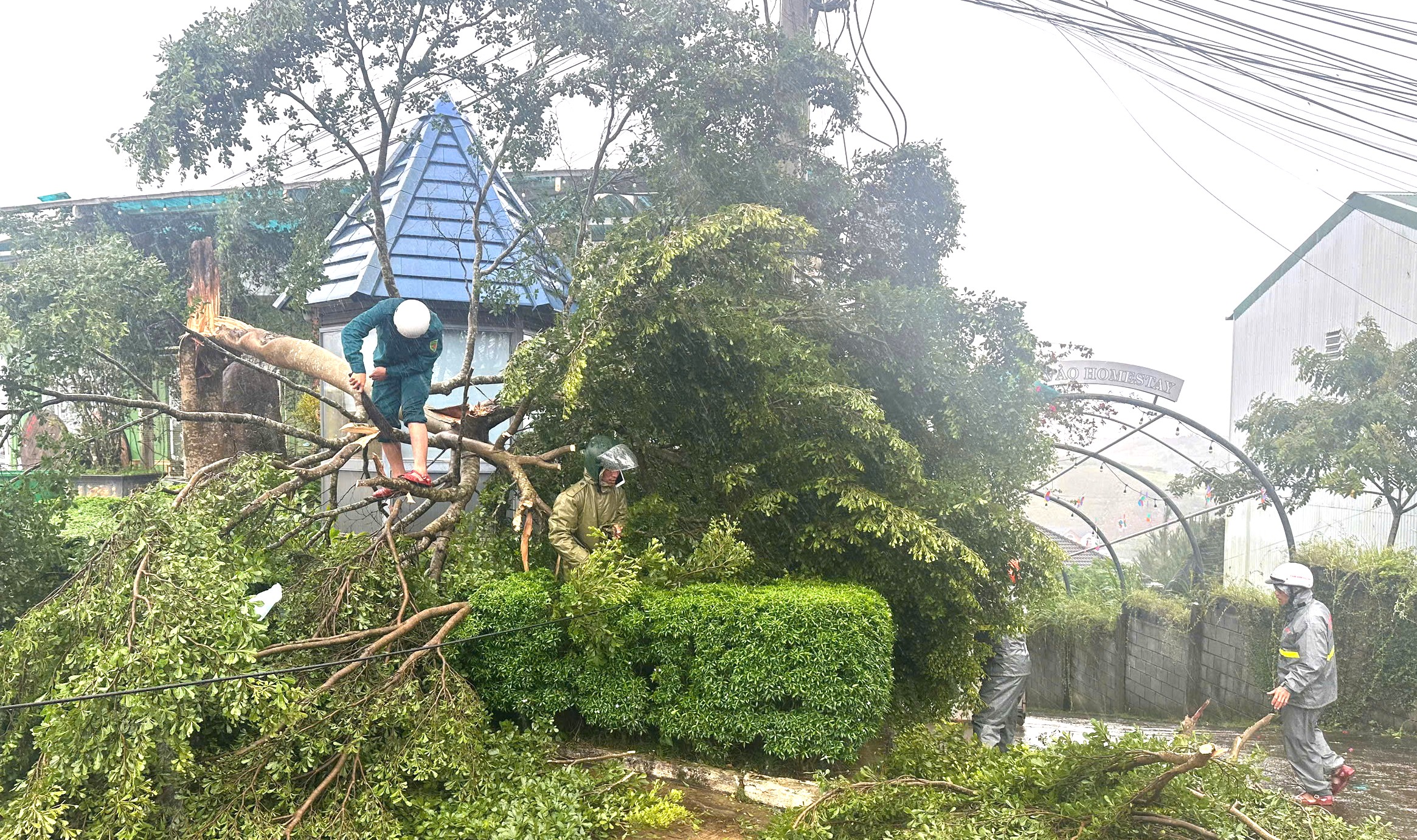 Lật xe chở sinh viên, cán bộ, chiến sĩ quân đội Lâm Đồng kịp thời cứu hộ - Ảnh 5. Lật xe chở sinh viên, cán bộ, chiến sĩ quân đội Lâm Đồng kịp thời cứu hộ - Ảnh 5.