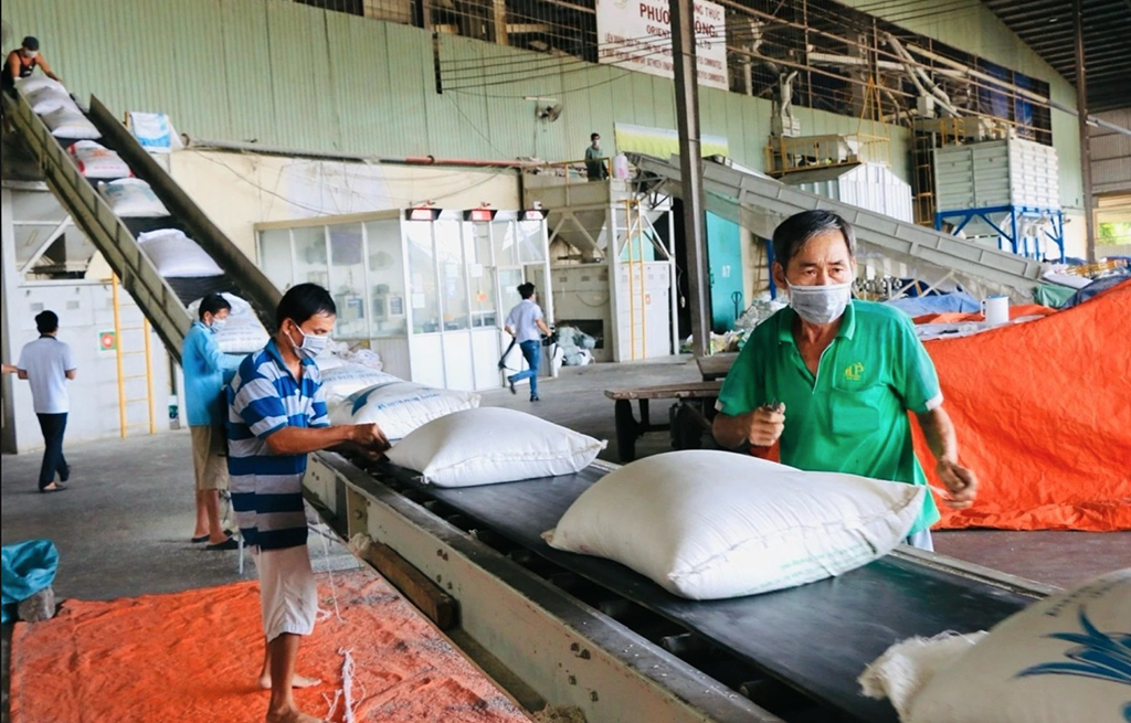 Vì sao gạo, cà phê kiến nghị bỏ thuế VAT?- Ảnh 1. Vì sao gạo, cà phê kiến nghị bỏ thuế VAT?- Ảnh 1.