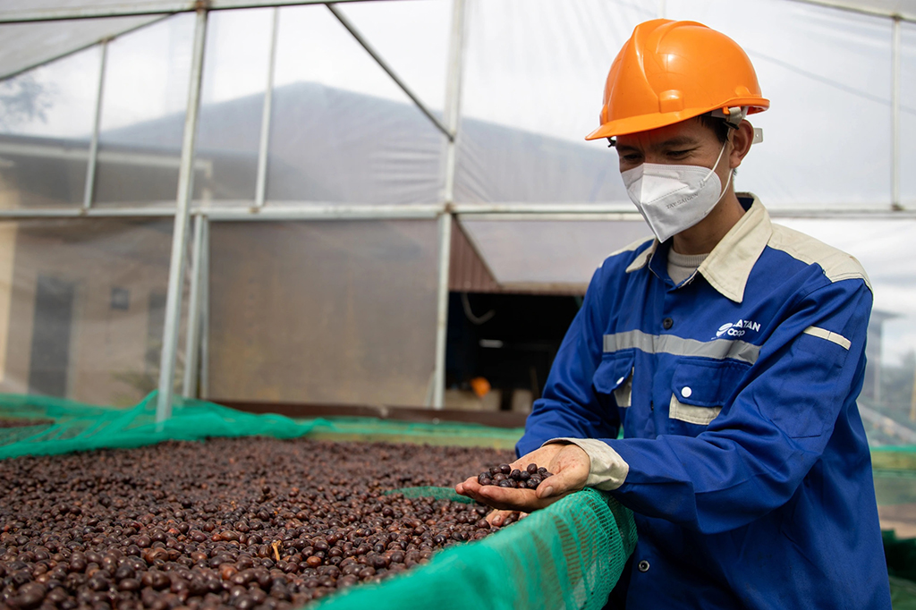 Vì sao gạo, cà phê kiến nghị bỏ thuế VAT?- Ảnh 2. Vì sao gạo, cà phê kiến nghị bỏ thuế VAT?- Ảnh 2.