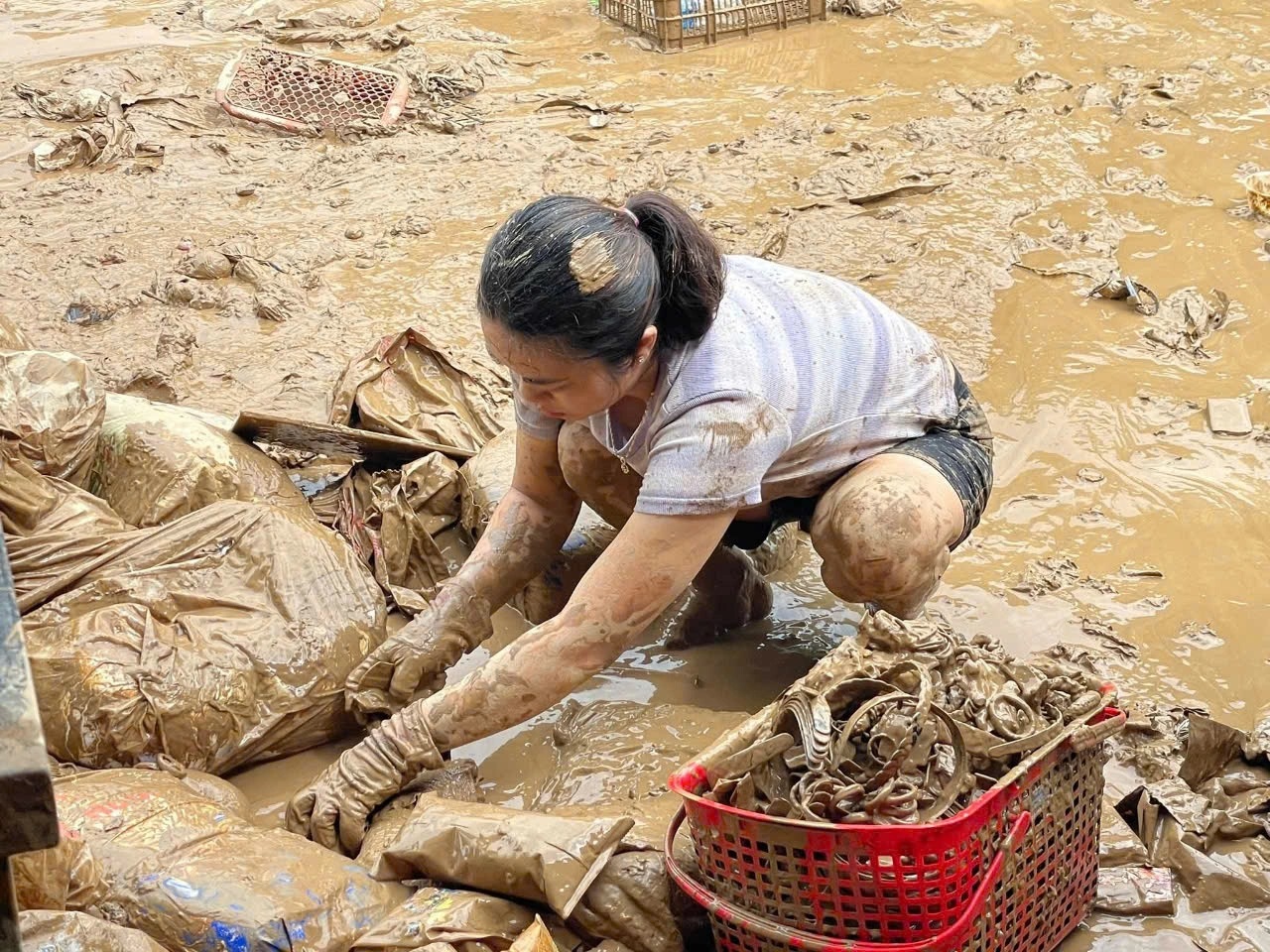 Nghệ An nỗ lực khắc phục hậu quả lũ lụt
