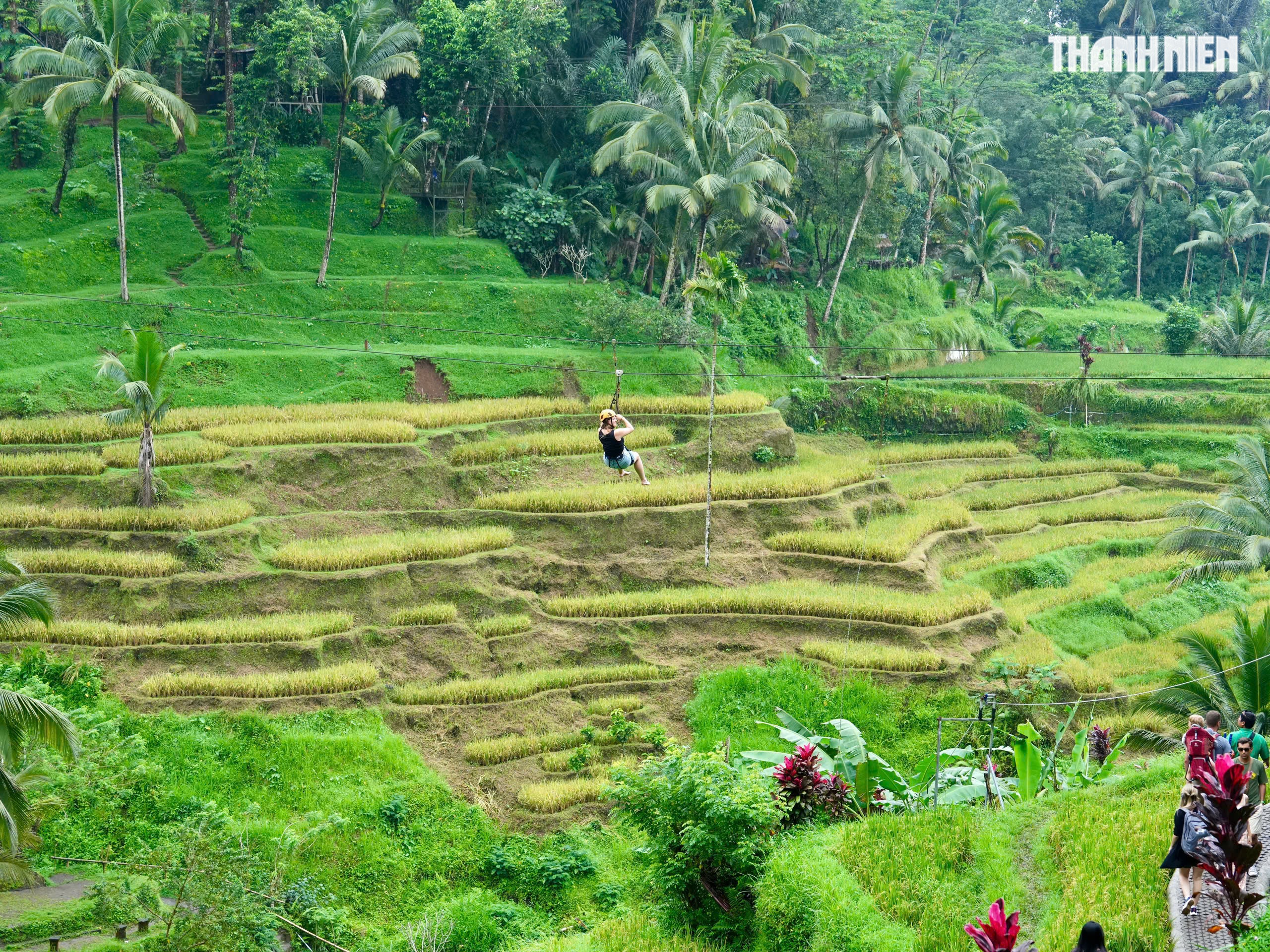 Giải mã bí ẩn trên ruộng bậc thang khiến du khách mê mẩn ở đảo Bali- Ảnh 10. Giải mã bí ẩn trên ruộng bậc thang khiến du khách mê mẩn ở đảo Bali- Ảnh 10.