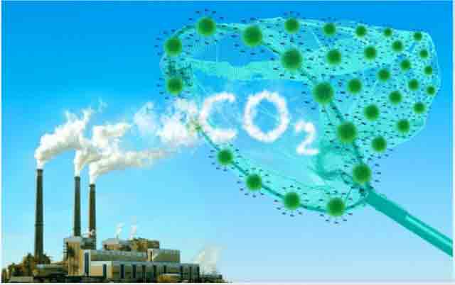 Việt Nam bước vào thị trường tỉ USD - tín chỉ carbon xe điện- Ảnh 3. Việt Nam bước vào thị trường tỉ USD - tín chỉ carbon xe điện- Ảnh 3.