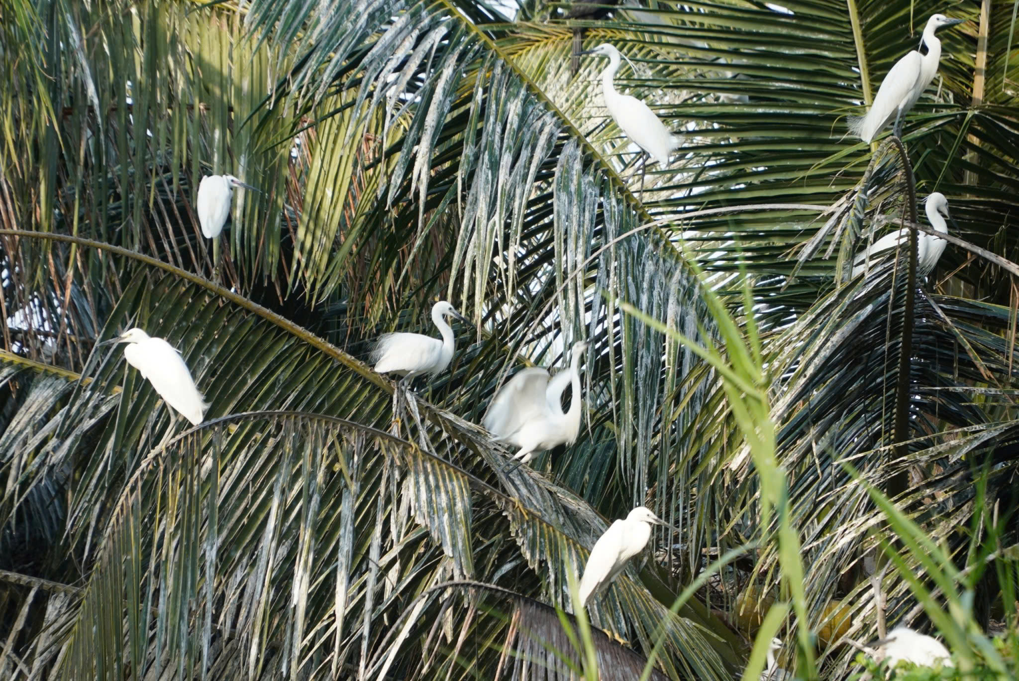 Lan tỏa làn sóng khởi nghiệp, đổi mới sáng tạo tại An Giang - Ảnh 3. Lan tỏa làn sóng khởi nghiệp, đổi mới sáng tạo tại An Giang - Ảnh 3.