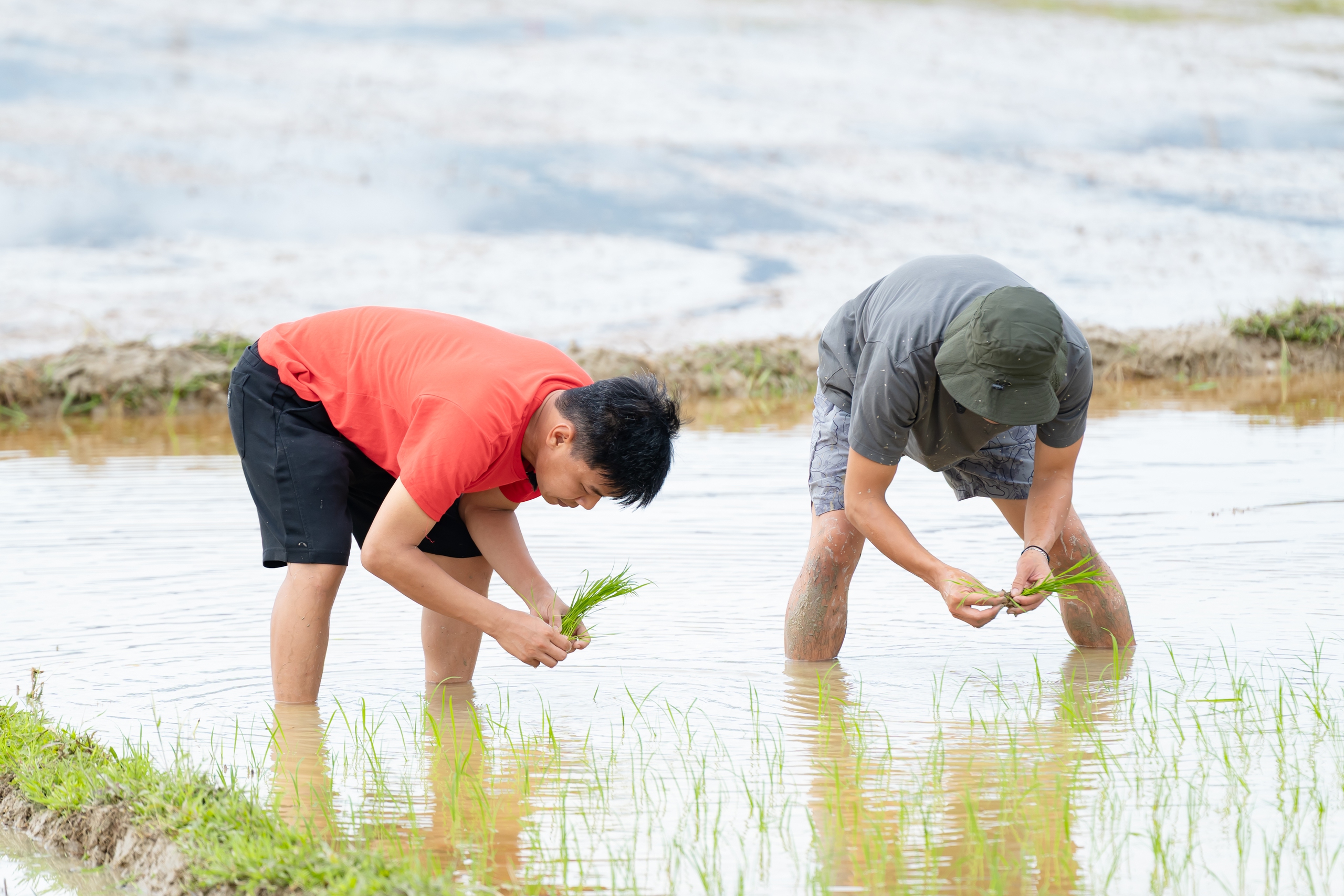 វិចិត្រករ Trung Ruoi, Duy Hung, Hoang Trung, និង Neko ភ្ជួរ ចាប់ក្តាម និងខ្យងជាលើកដំបូង - រូបថត ៣. Nghệ sĩ Trung Ruồi, Duy Hưng, Hoàng Trung, Neko lần đầu cày cấy, mò cua bắt ốc- Ảnh 3.