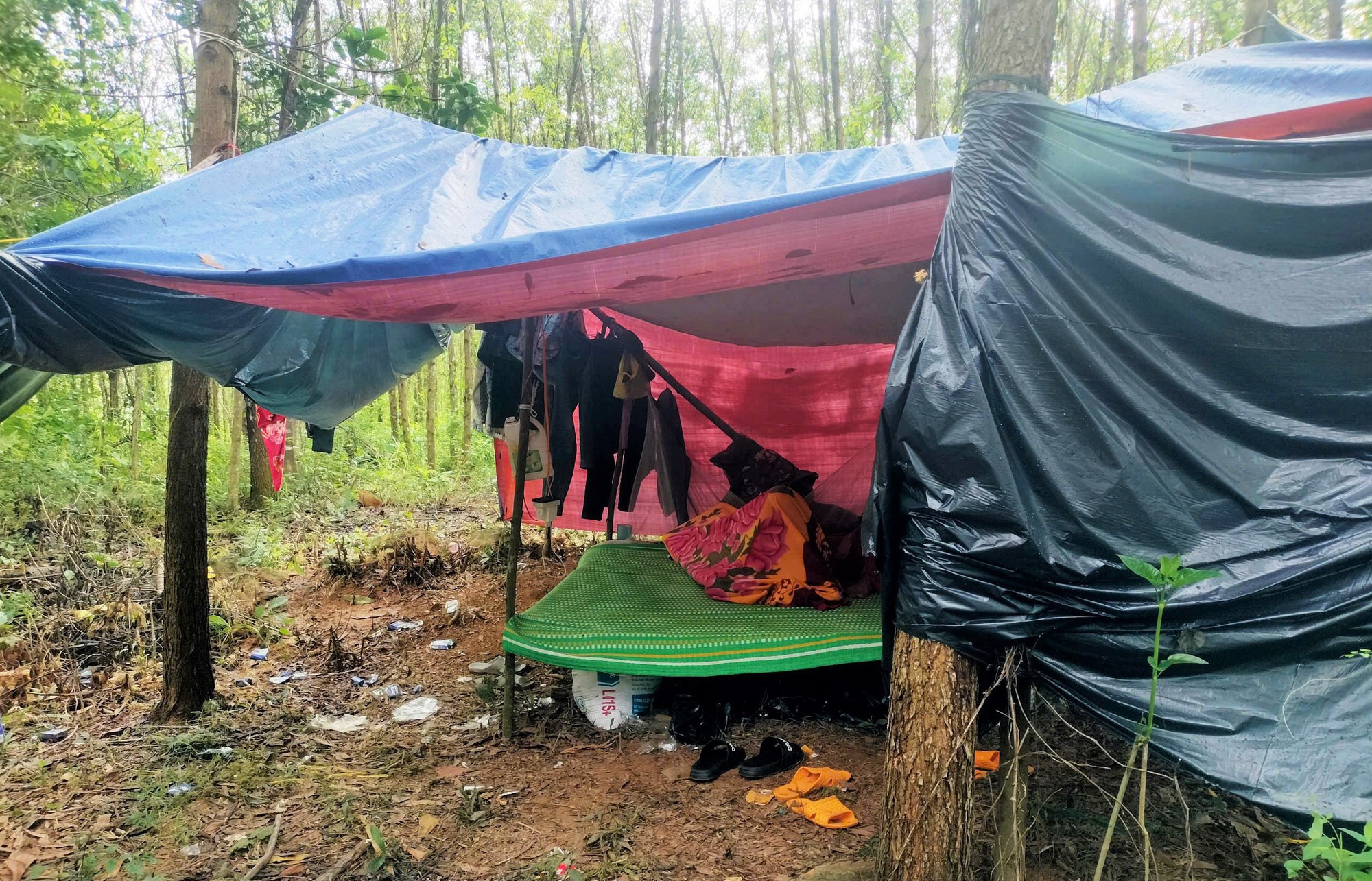 - Ảnh 4. - Ảnh 4.