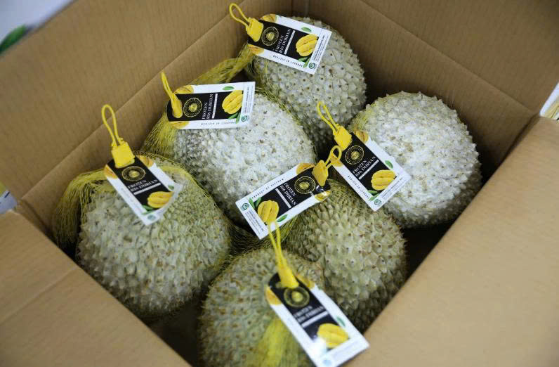 Xuất khẩu sầu riêng đông lạnh tăng 3 lần- Ảnh 1. Xuất khẩu sầu riêng đông lạnh tăng 3 lần- Ảnh 1.