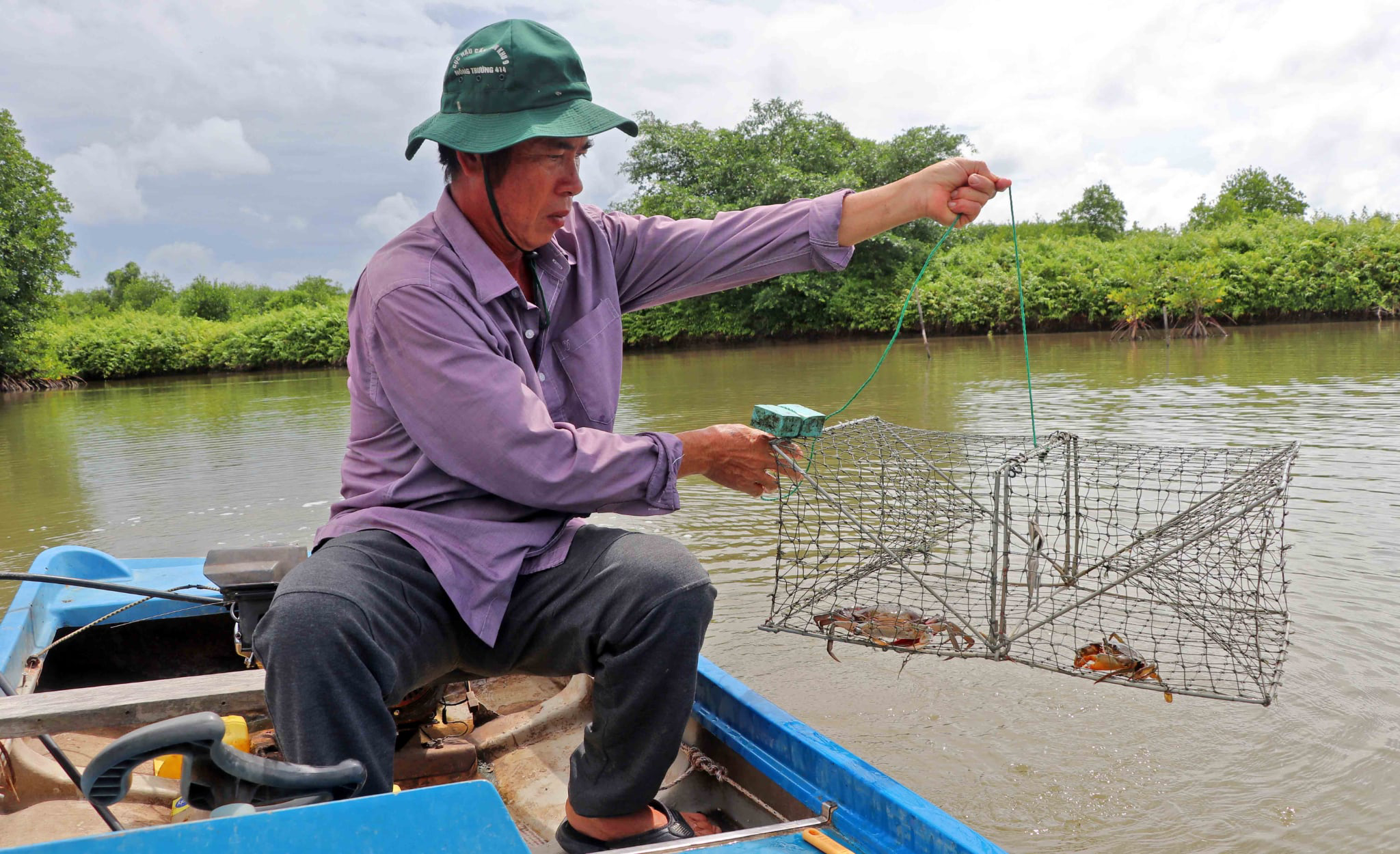 Cà Mau phấn đấu trở thành trung tâm nuôi cua lớn nhất cả nước- Ảnh 1.