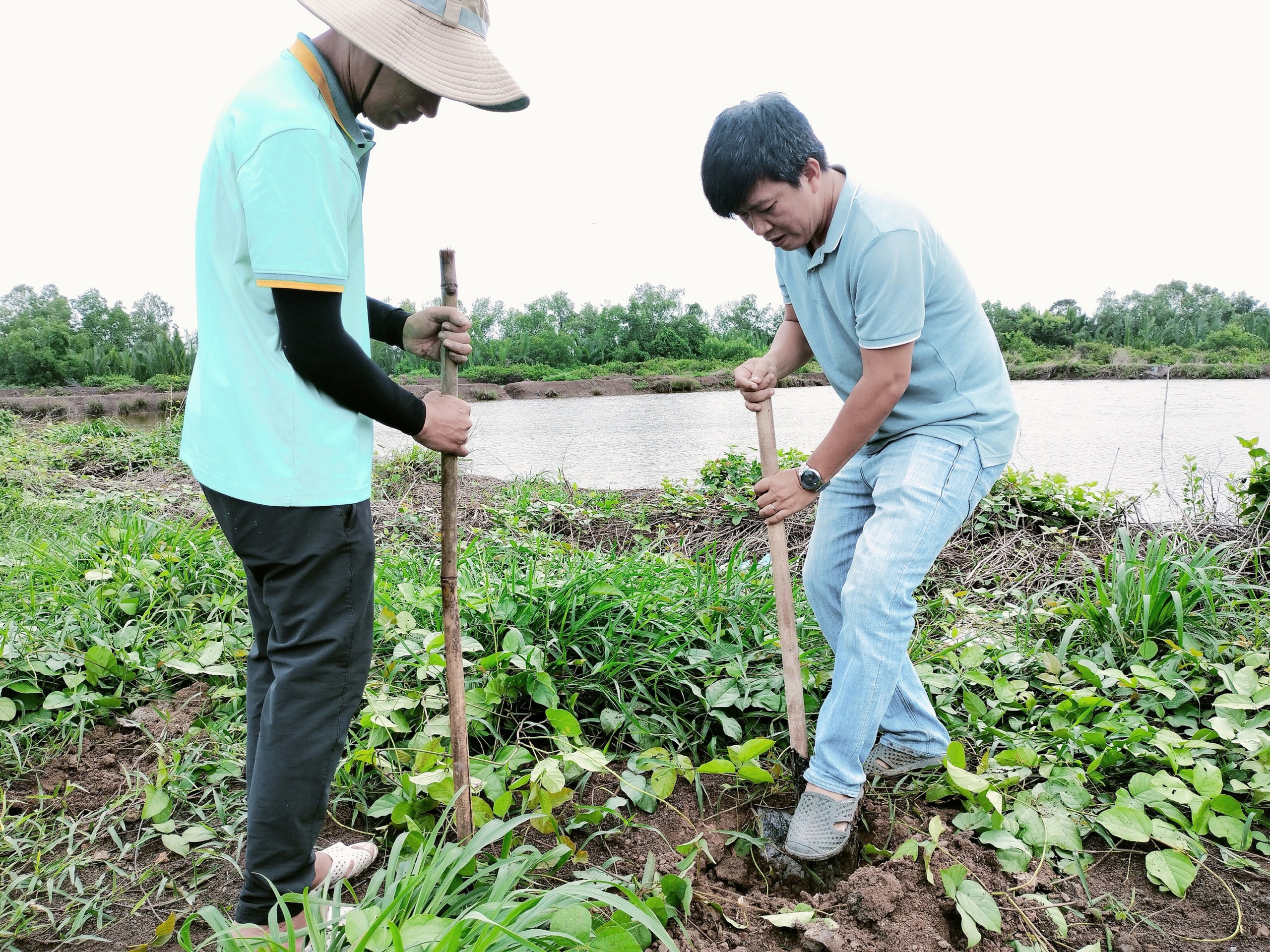 Kỷ niệm đẹp, khó phai trong hoạt động trồng cây bảo vệ môi trường tại Cần Giờ - Ảnh 5.