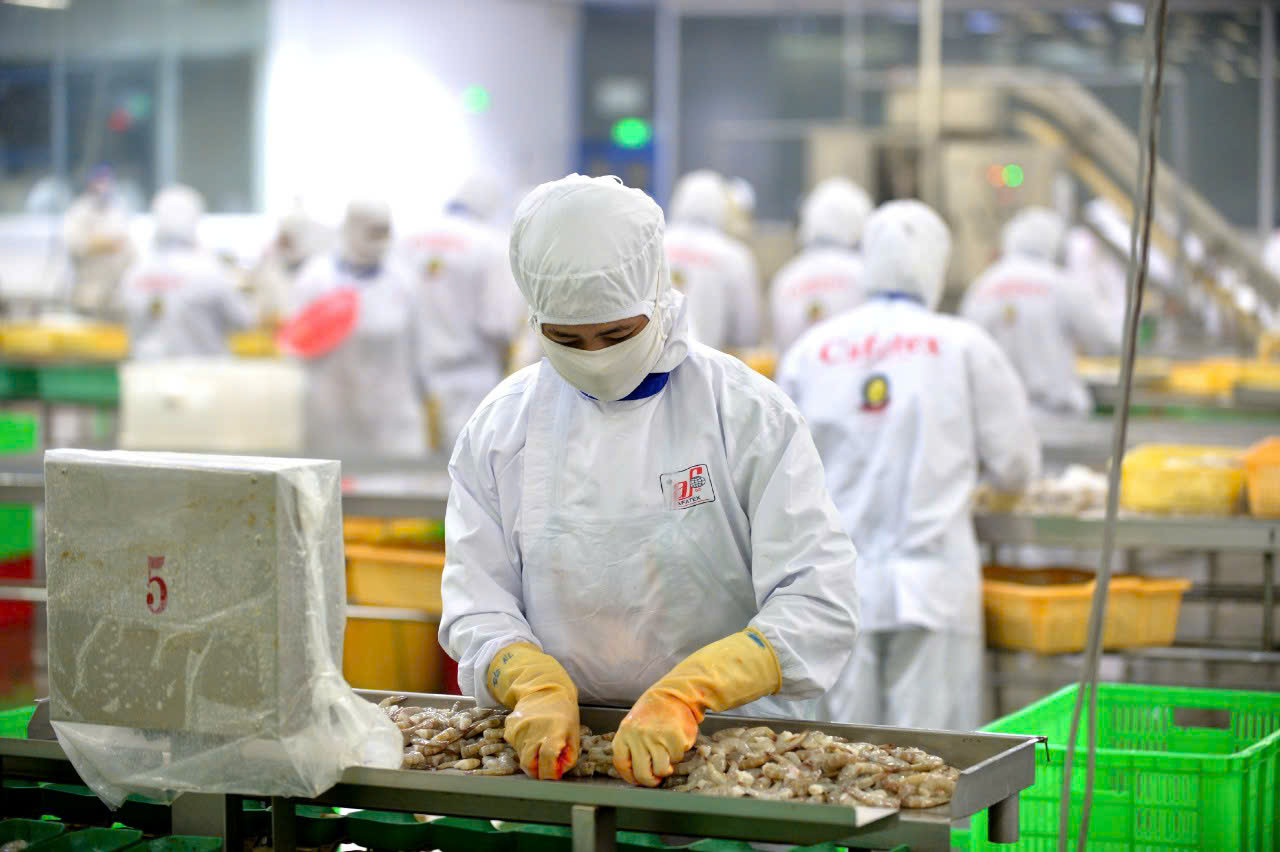 Xuất khẩu thủy sản có thể phải điều chỉnh kim ngạch do chính sách thuế của Mỹ - Ảnh 1. Xuất khẩu thủy sản có thể phải điều chỉnh kim ngạch do chính sách thuế của Mỹ - Ảnh 1.