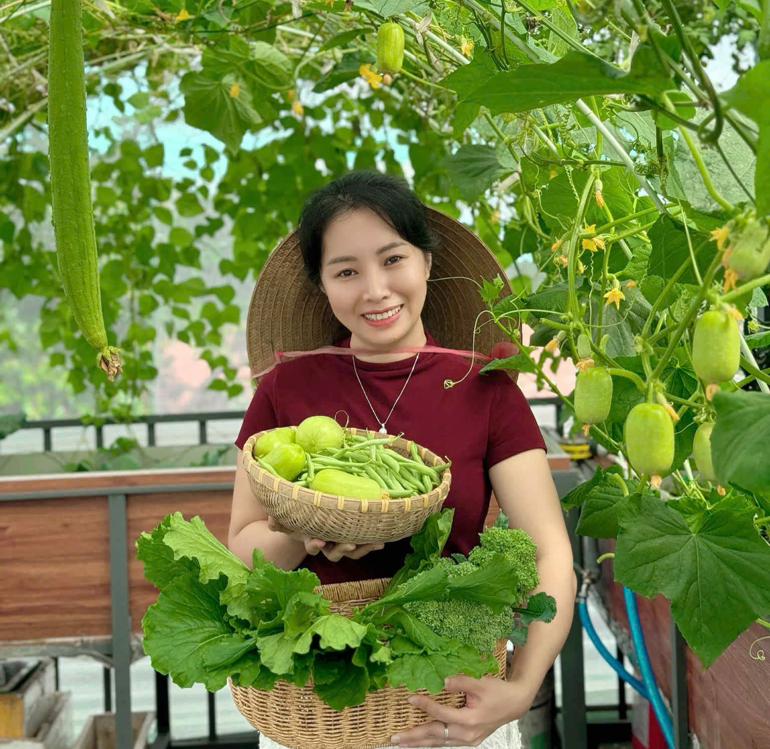 Khu vườn 30 m² xanh mướt với nhiều rau trái sạch của một phụ nữ xinh đẹp Khu vườn 30 m² xanh mướt với nhiều rau trái sạch của một phụ nữ xinh đẹp