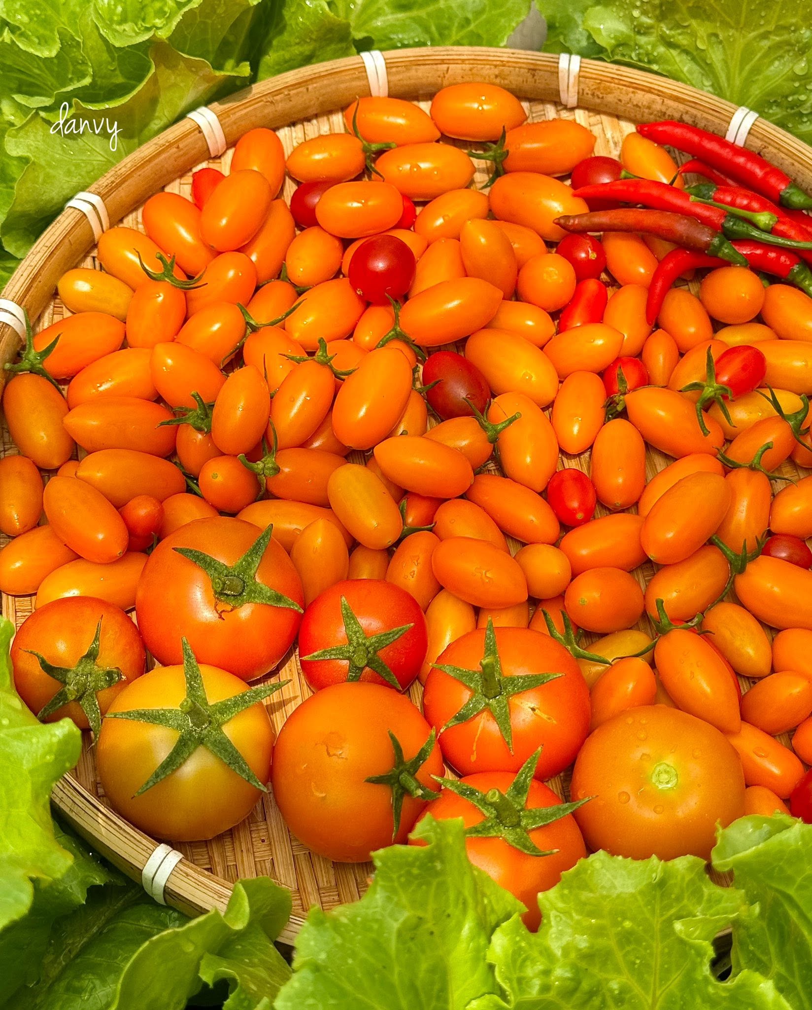 ‘Căn gác chữa lành’ xanh mướt với nhiều rau trái sạch của người phụ nữ Đắk Lắk - Ảnh 4.