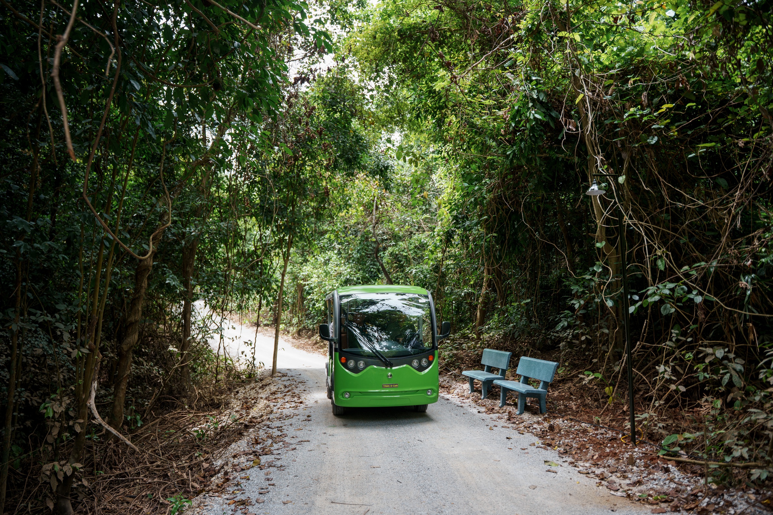 Khám phá ‘Đường Trường Sơn huyền thoại’ giữa lòng Phong Nha - Kẻ Bàng- Ảnh 2. Khám phá ‘Đường Trường Sơn huyền thoại’ giữa lòng Phong Nha - Kẻ Bàng- Ảnh 2.