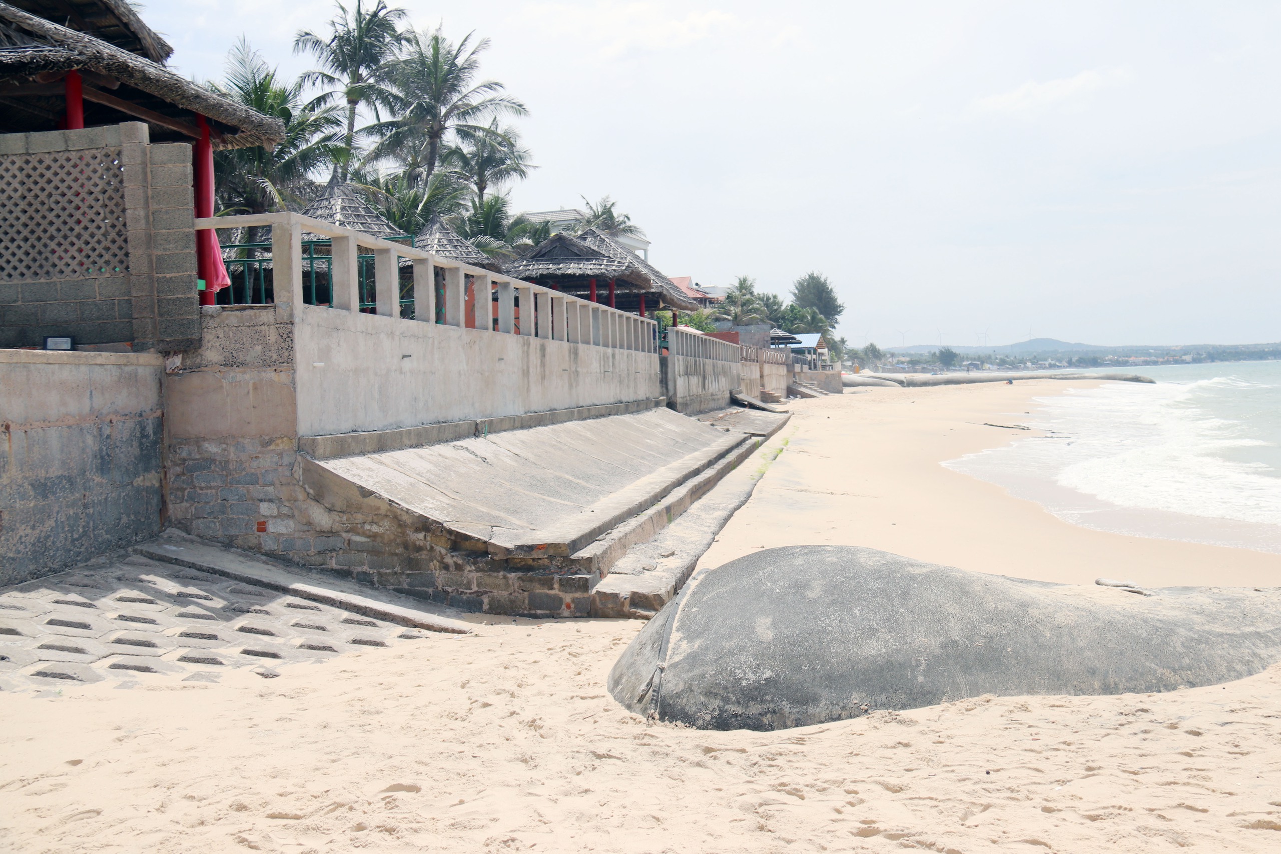 Những con 'quái vật' trên bãi biển Mũi Né- Ảnh 11. Những con 'quái vật' trên bãi biển Mũi Né- Ảnh 11.