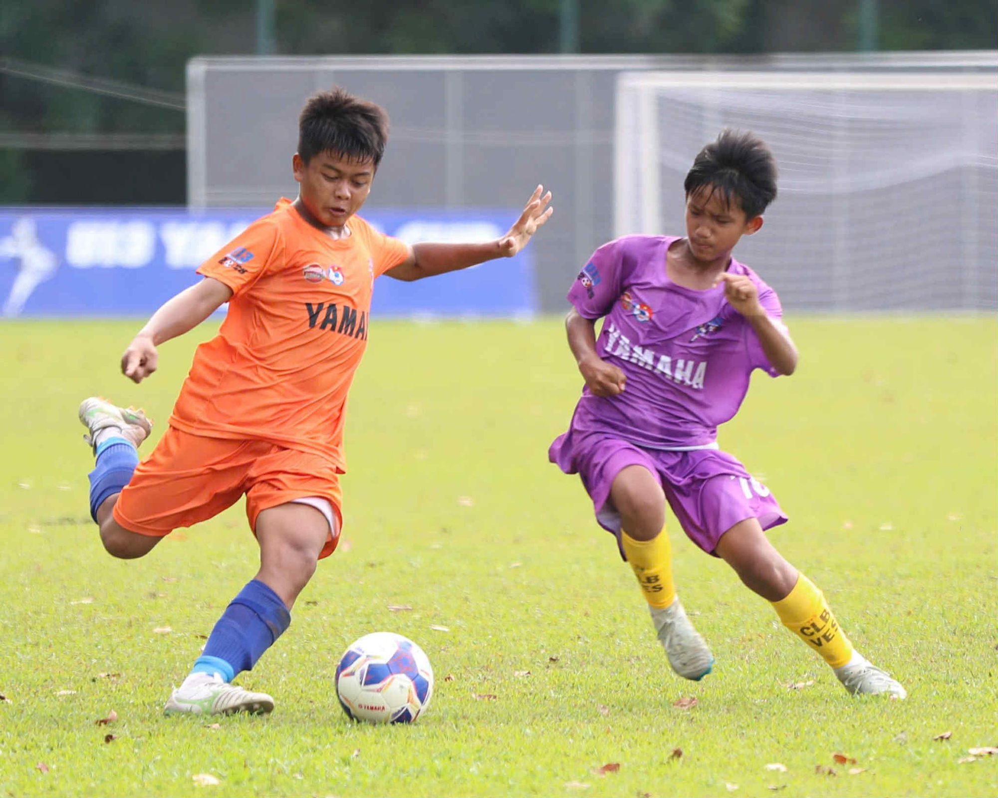 Визначення 8 команд, які виходять до чвертьфіналу національного турніру U13 - Фото 1. Xác định 8 đội bóng vào vòng tứ kết giải U.13 toàn quốc- Ảnh 1.