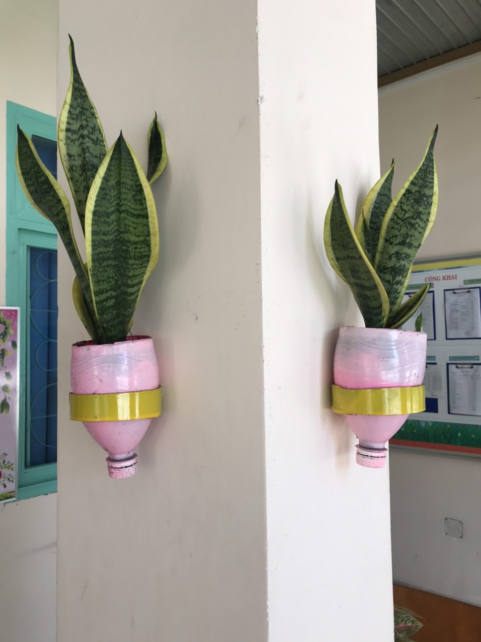 Vnášení zelených stromů, trávy a květin do školního prostoru - Foto 3. Đưa cây xanh, cỏ hoa vào không gian trường học- Ảnh 3.