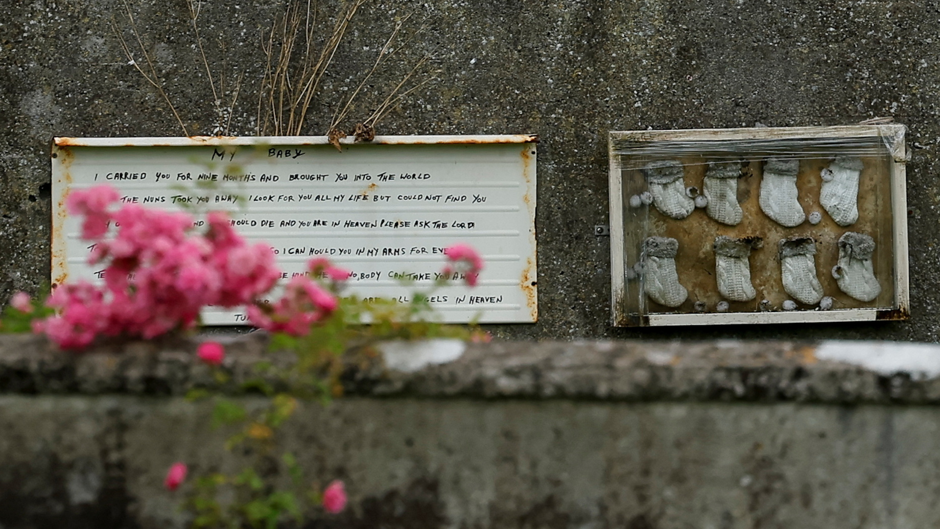 Hàng trăm hài cốt trẻ em trong ‘mái ấm’ hé lộ chương đen tối của Ireland Hàng trăm hài cốt trẻ em trong ‘mái ấm’ hé lộ chương đen tối của Ireland