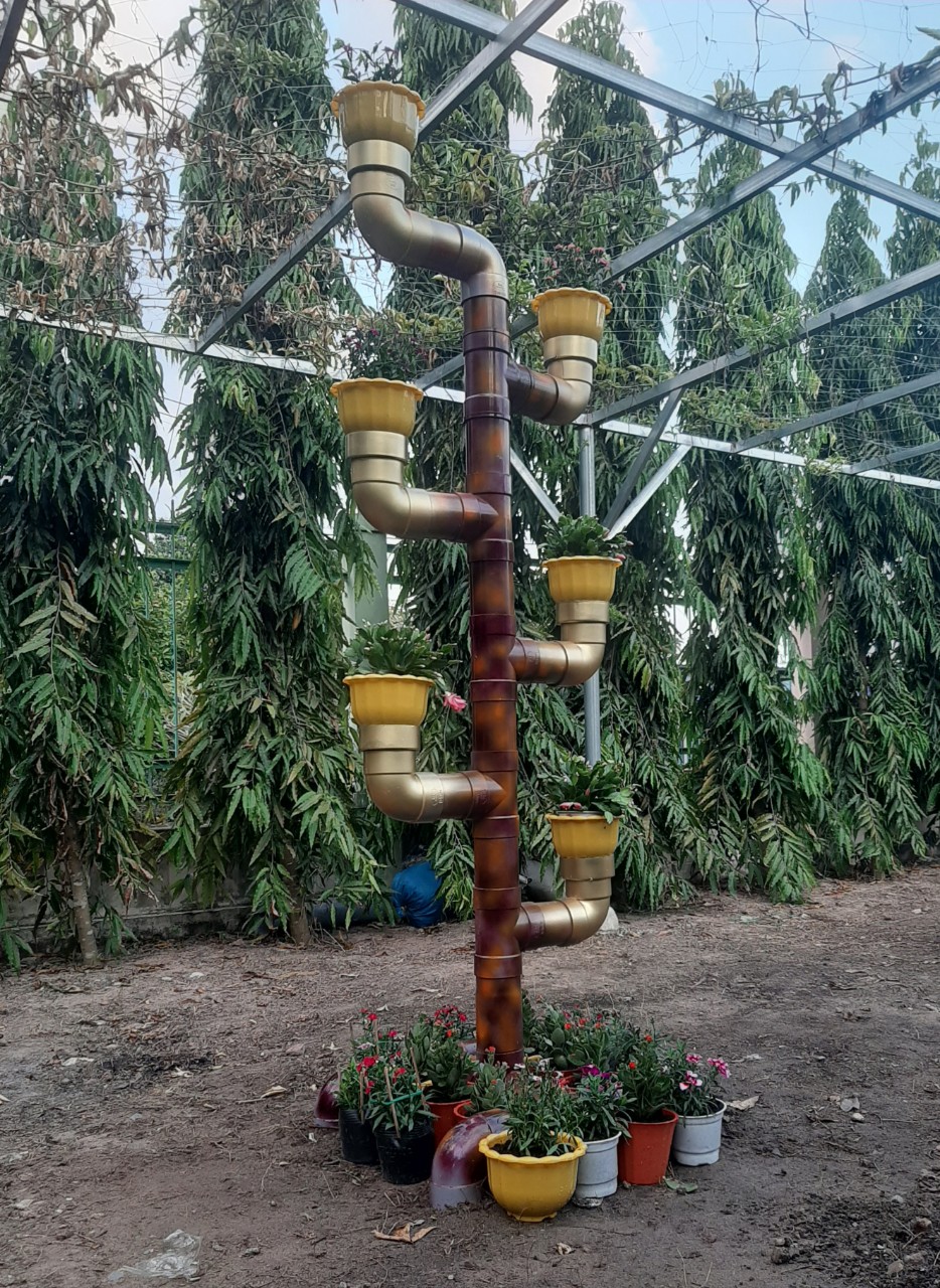 Vnášení zelených stromů a květin do školního prostoru - Foto 2. Đưa cây xanh, cỏ hoa vào không gian trường học- Ảnh 2.