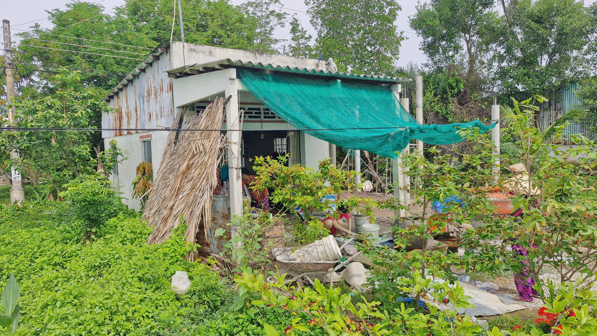 Nữ sinh nghèo bị cha mẹ bỏ rơi ước mơ vào đại học Nữ sinh nghèo bị cha mẹ bỏ rơi ước mơ vào đại học