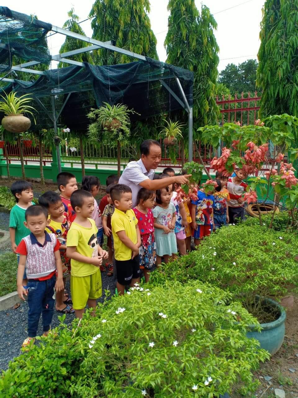 Vnášení zelených stromů a květin do školního prostoru - Foto 6. Đưa cây xanh, cỏ hoa vào không gian trường học- Ảnh 6.