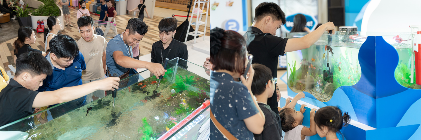 ओप्पो ने रेनो 14 सीरीज एक्सपीरियंस इवेंट के माध्यम से जादुई महासागर का पुनर्निर्माण किया - फोटो 2. OPPO tái hiện đại dương kỳ ảo qua sự kiện trải nghiệm Reno14 series- Ảnh 2.