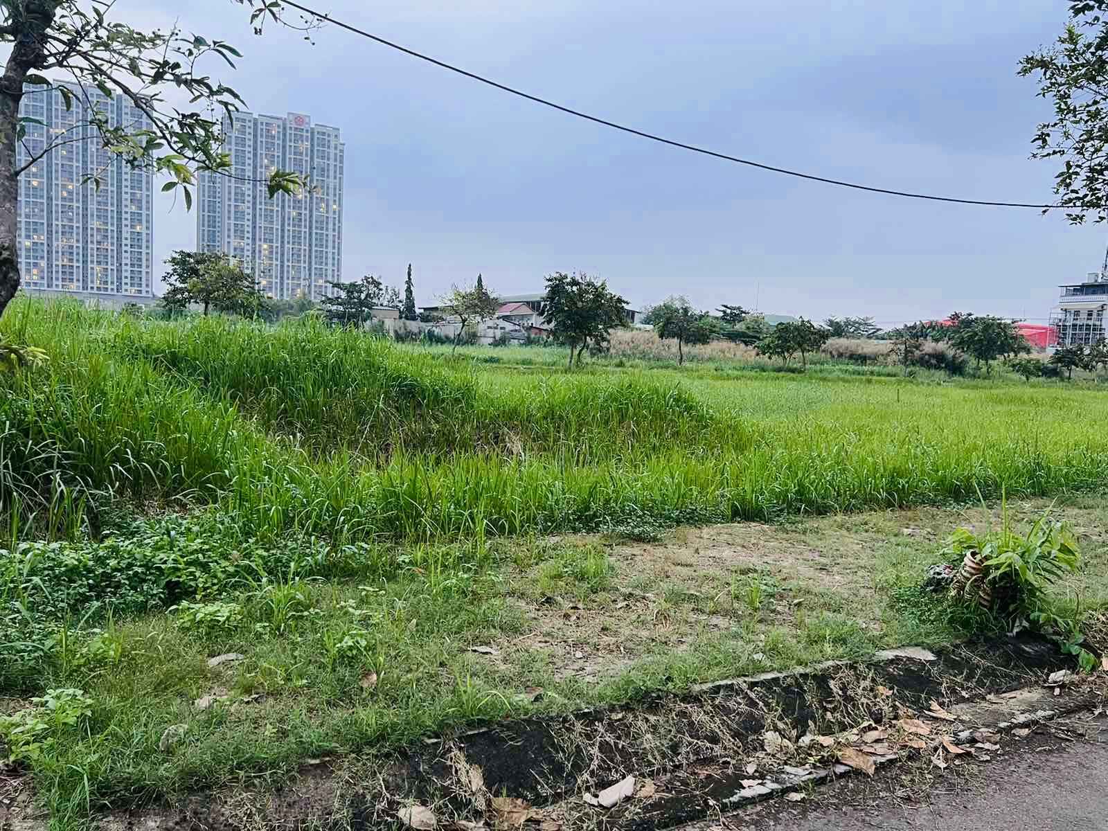 Đẩy nhanh định giá đất cho doanh nghiệp- Ảnh 1.