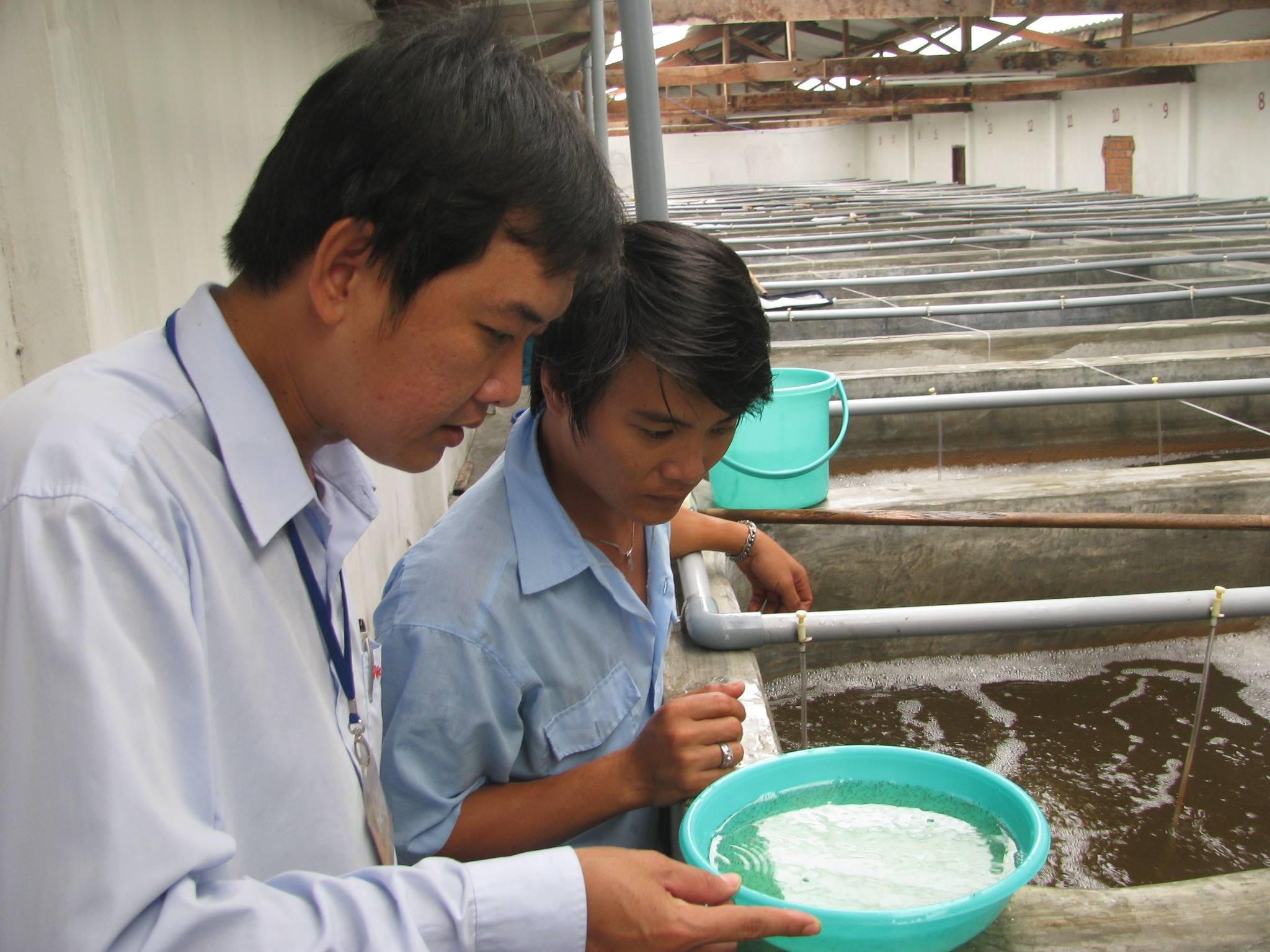 Đề nghị buôn vàng trang sức, phân bón không cần điều kiện kinh doanh- Ảnh 2.