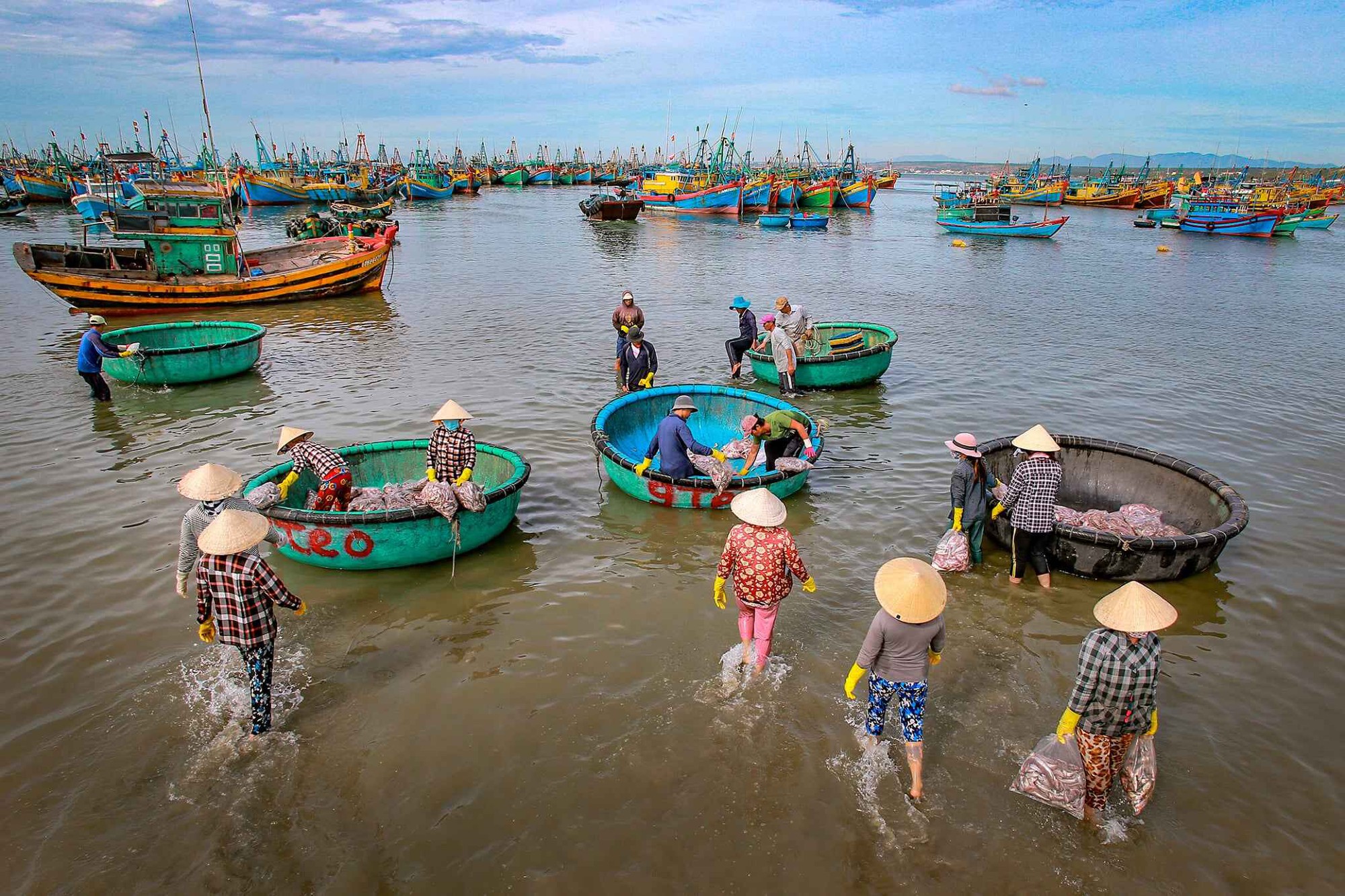 'Hồn biển' bên sông Cà Ty- Ảnh 1.