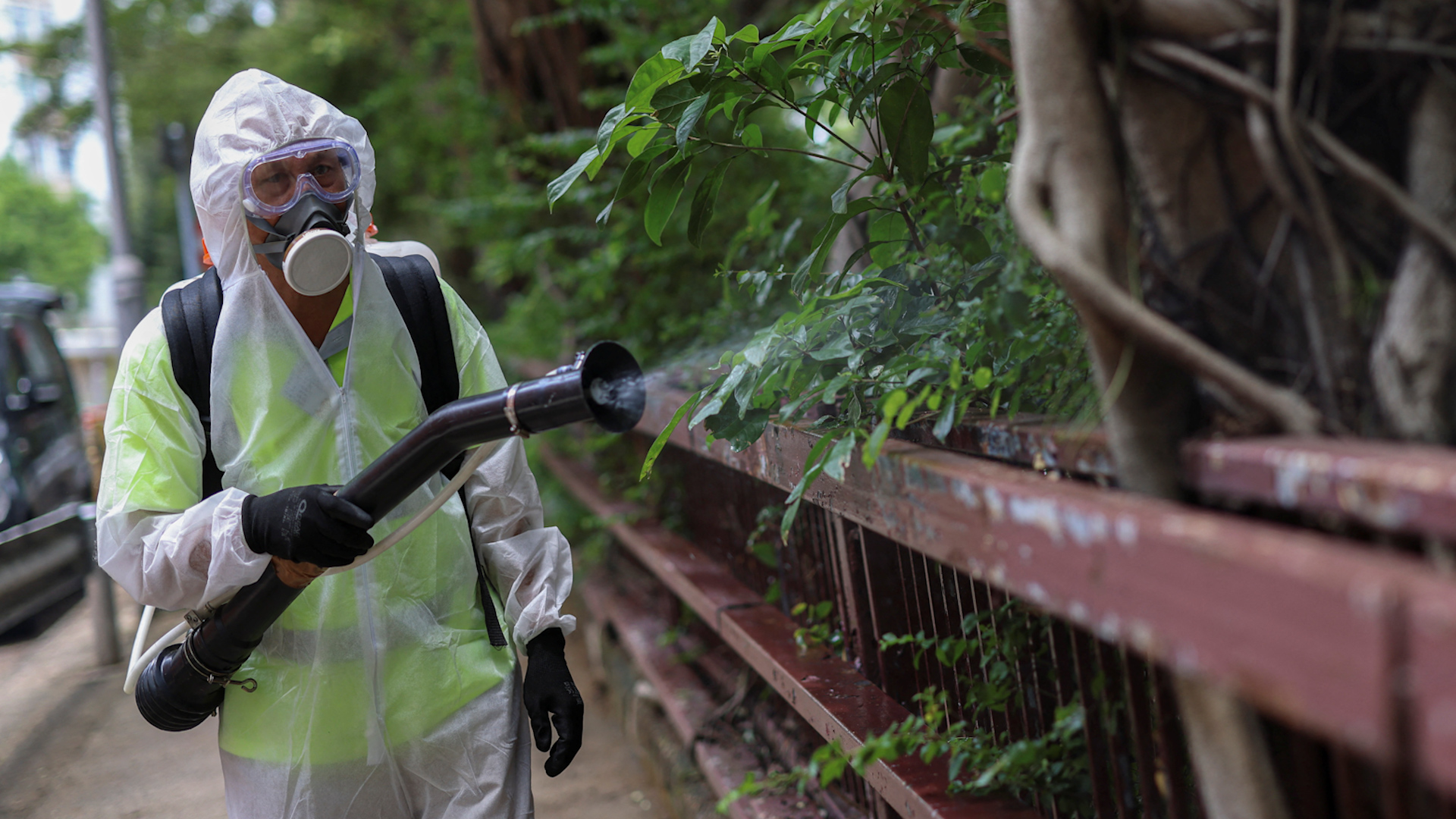 Virus chikungunya l&agrave; g&igrave;, phương ph&aacute;p chống chọi với n&oacute; ra sao? - Ảnh 2.