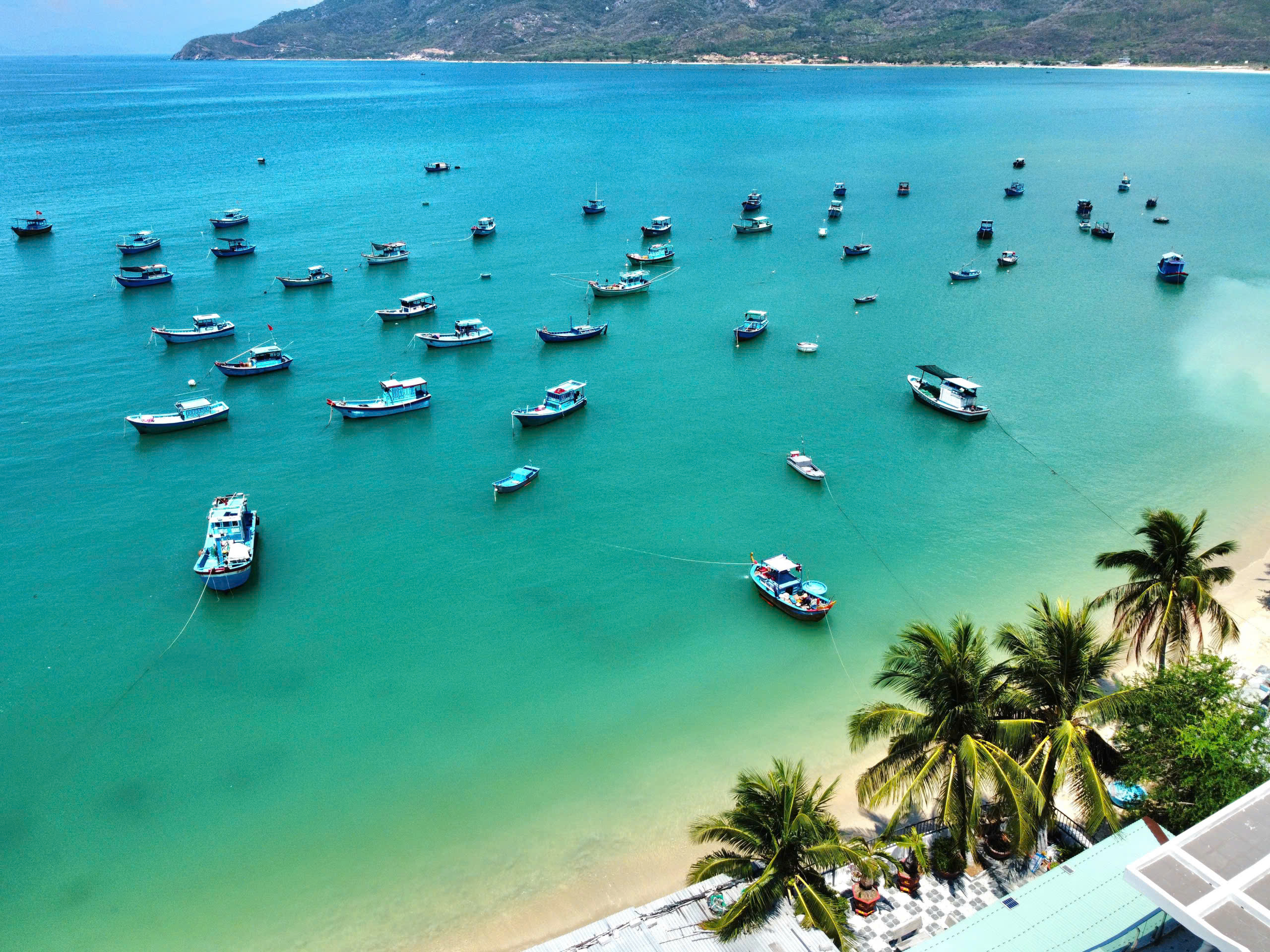 ໝູ່ບ້ານແຄມທະເລທີ່ສວຍງາມ: ບ້ານ 'ສີ່ແຍກ' ຢູ່ຕີນພູ - ພາບ 2. Những ngôi làng tuyệt đẹp ven biển: Làng 'bốn không' dưới chân Hòn Hèo- Ảnh 2.