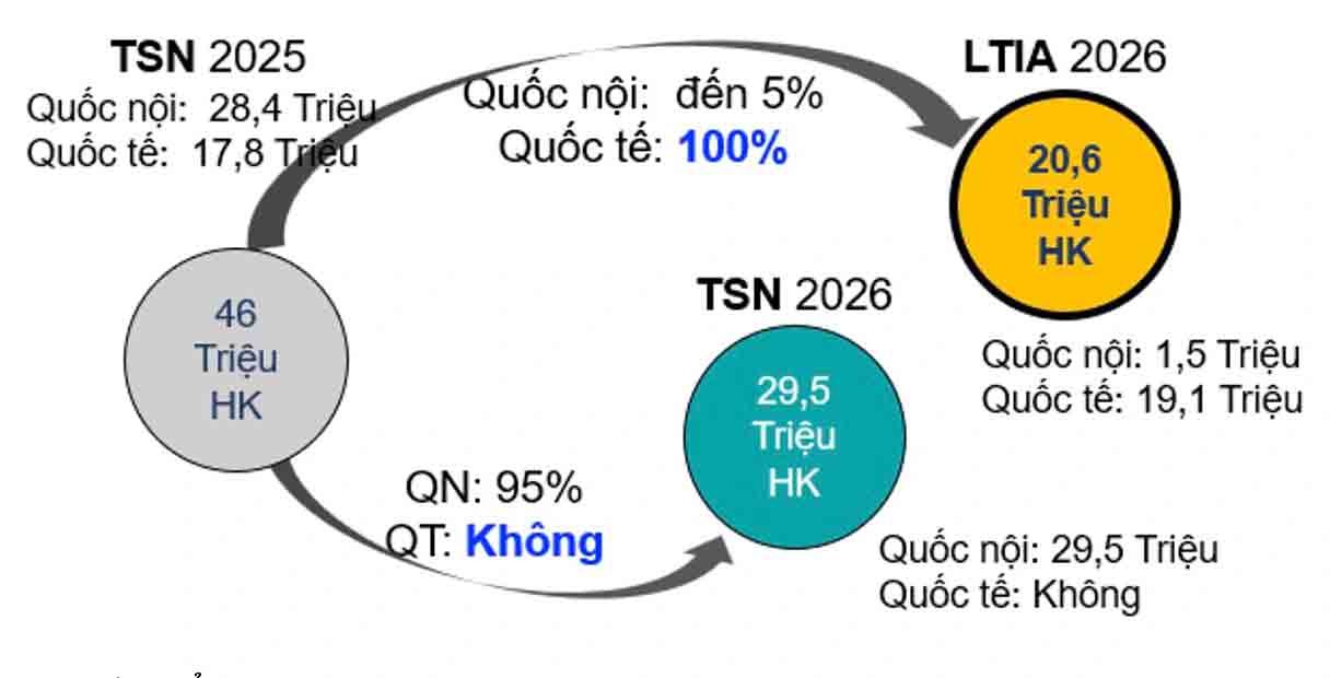 Có nên chuyển bay quốc tế từ Tân Sơn Nhất về Long Thành?- Ảnh 3.