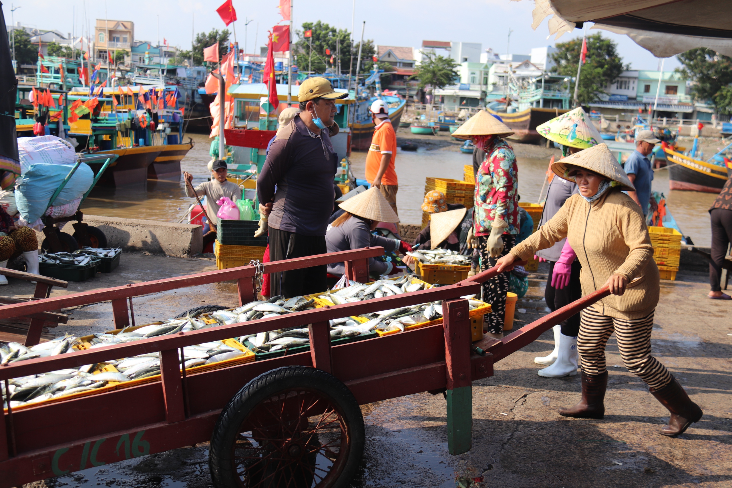Quyết tâm 'cán đích' thu ngân sách  ở các địa phương top đầu ven biển Lâm Đồng- Ảnh 2.