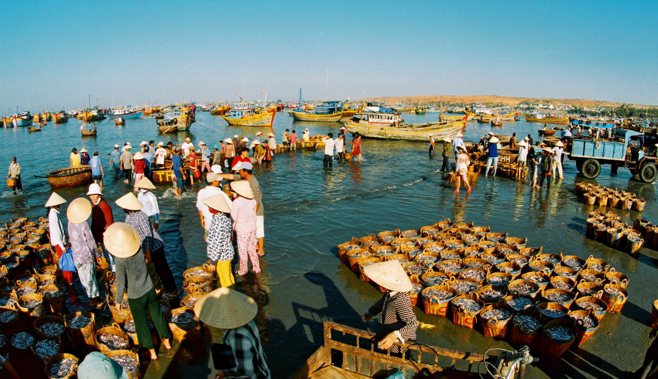 V&igrave; một nền văn minh sinh th&aacute;i, một Việt Nam xanh v&agrave; một đại dương h&ograve;a b&igrave;nh, bền vững- Ảnh 2.