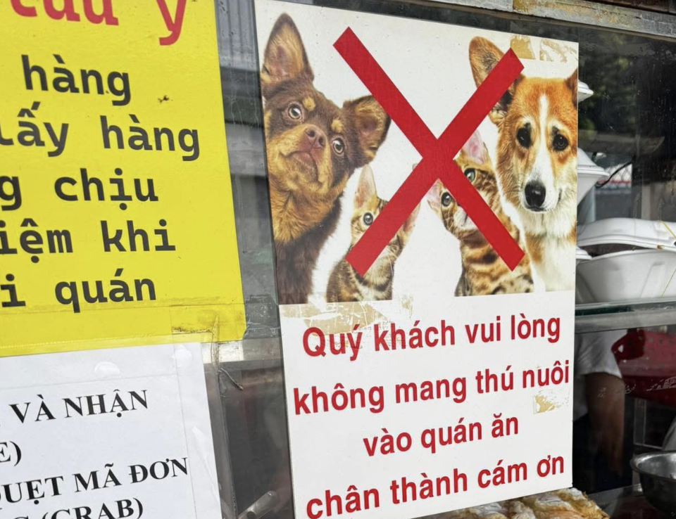 Tranh cãi quán ăn TP.HCM cấm khách mang thú cưng vào: Hợp lý hay khắt khe? - Ảnh 1.