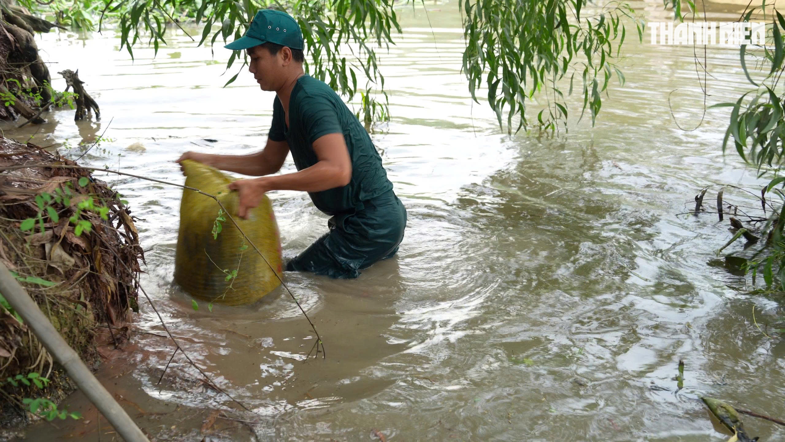 Ghe chở lúa chìm dưới kênh Cả Dứa tại Tây Ninh do va phải cọc nhọn - Ảnh 3.