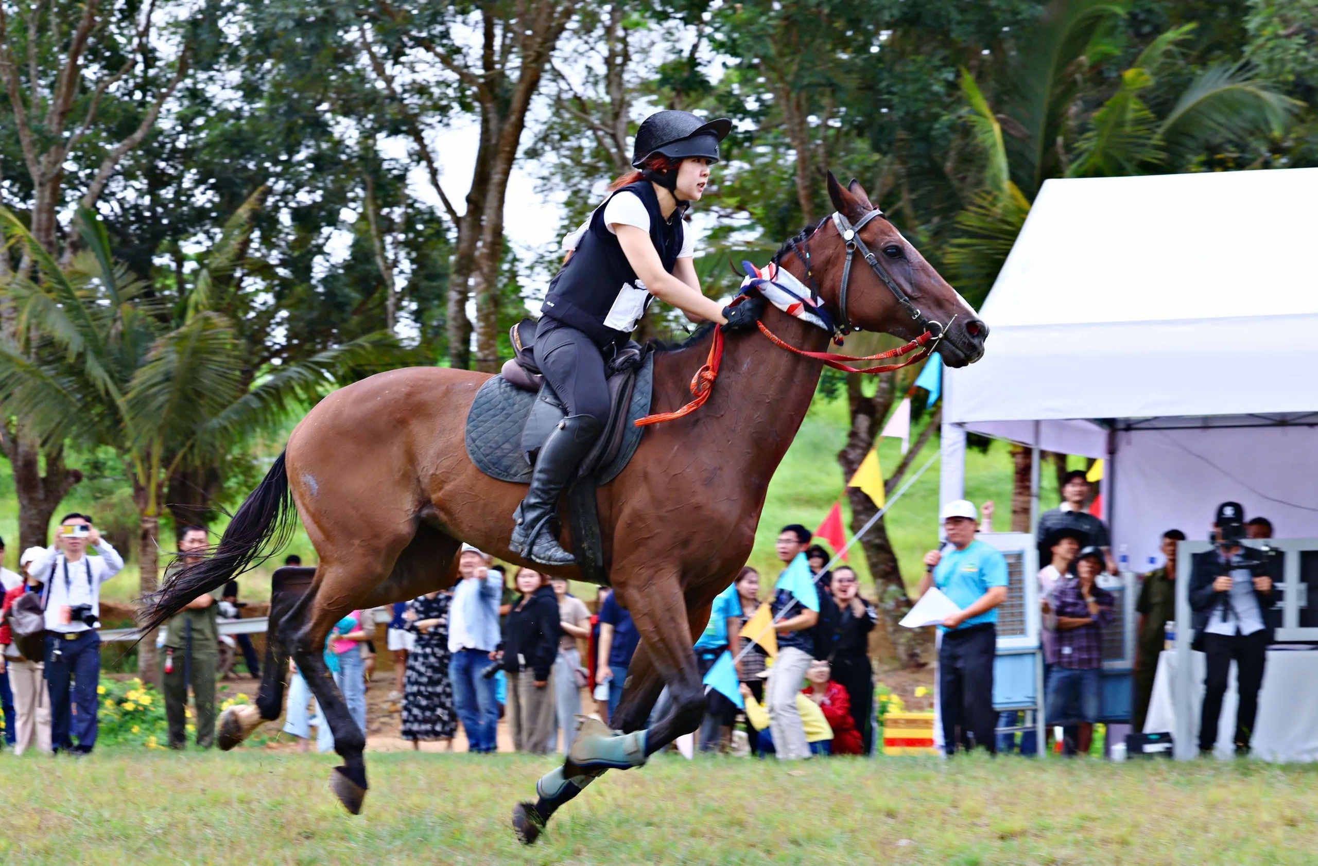 Lam Dong houdt zijn eerste cross-terrain paardenracewedstrijd - Foto 2. Lâm Đồng lần đầu diễn ra giải đua ngựa phong trào vượt địa hình- Ảnh 2.