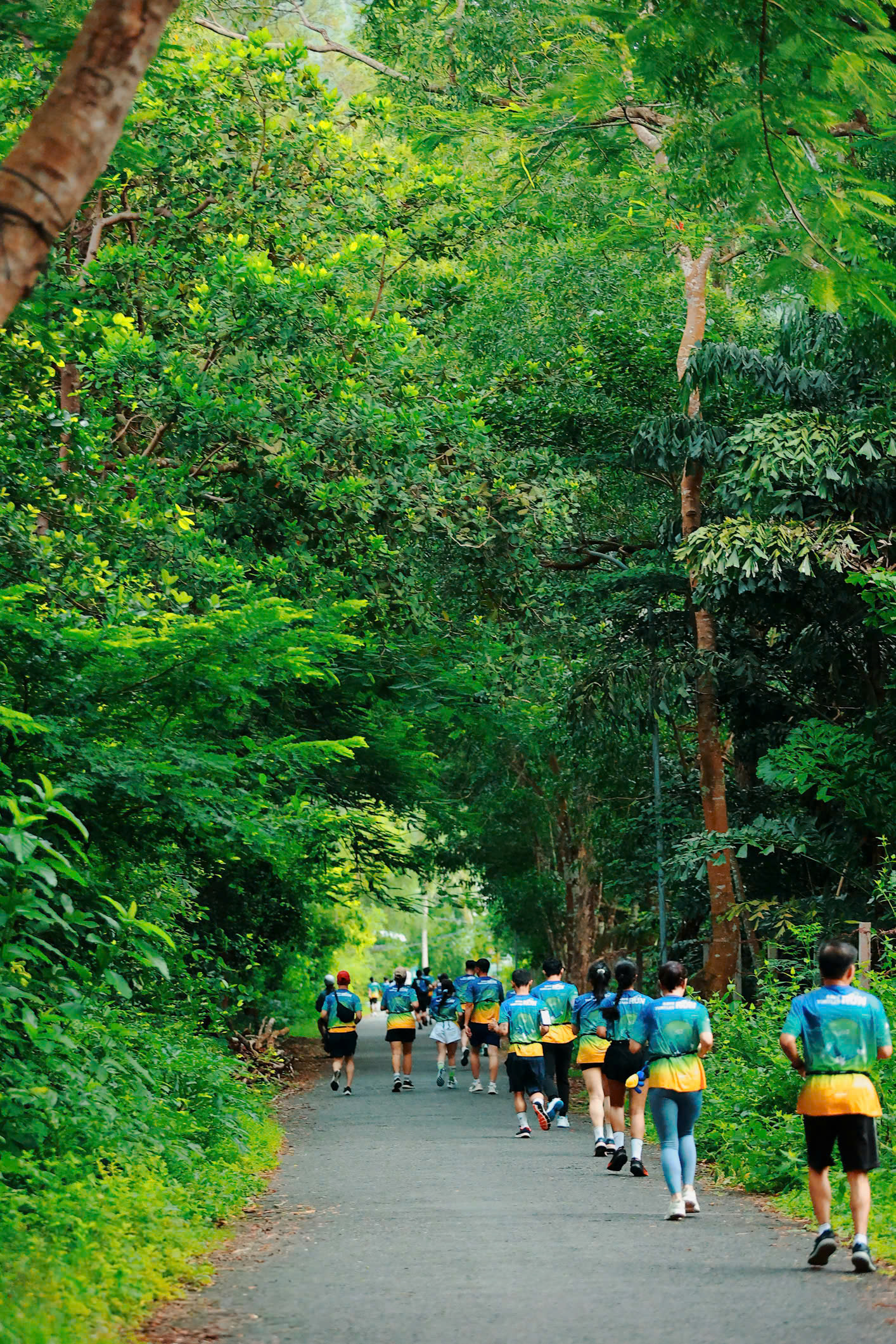 Marathon ở đặc khu Côn Đảo: Chạy những cung đường như tranh, cùng bảo vệ rùa biển - Ảnh 10.