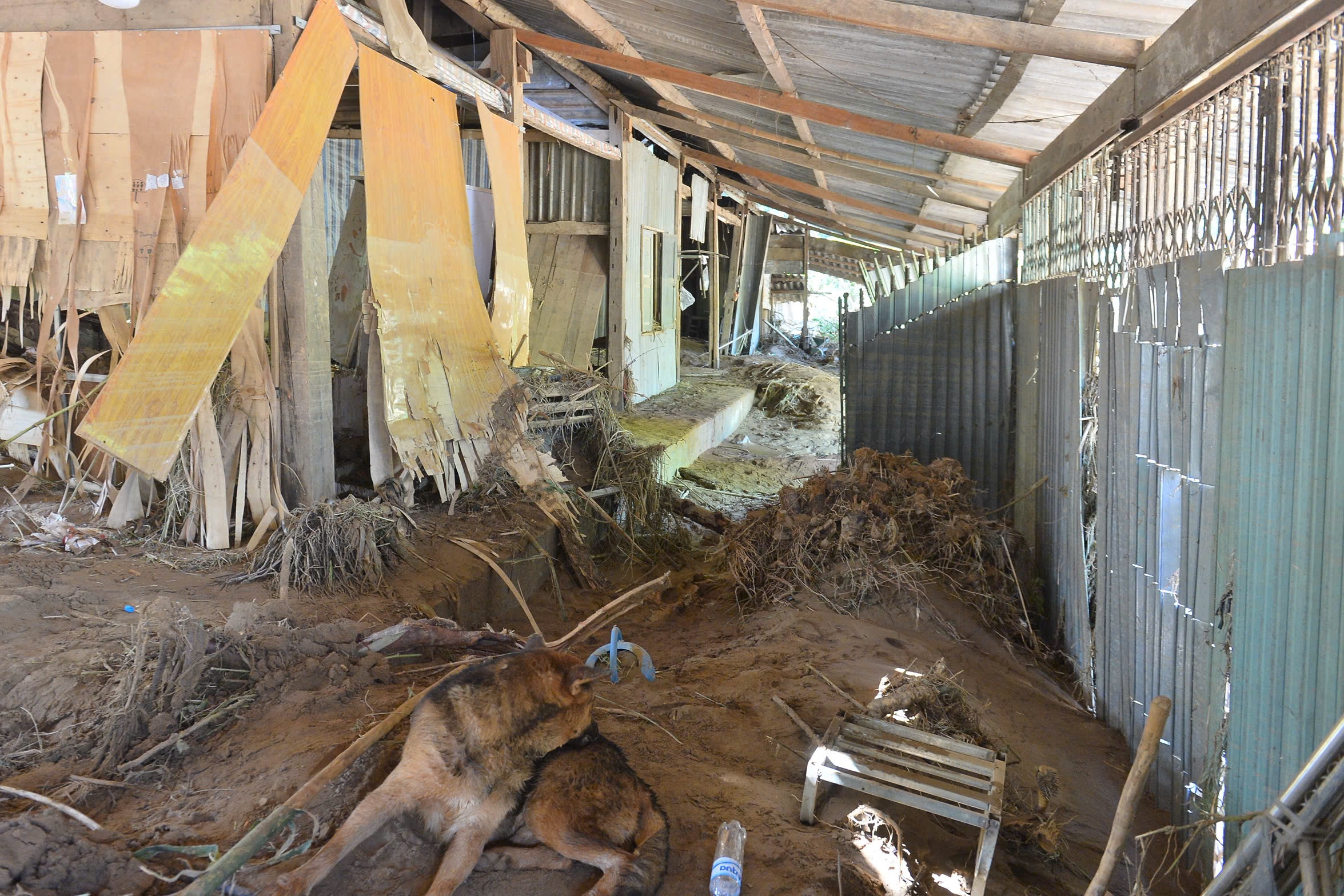 Bản l&agrave;ng ở Điện Bi&ecirc;n tan hoang sau cơn lũ dữ - Ảnh 4.