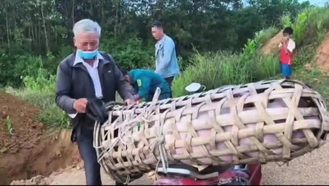 Đà Nẵng: Phát hiện người đàn ông chở heo bệnh đi tiêu thụ- Ảnh 1.