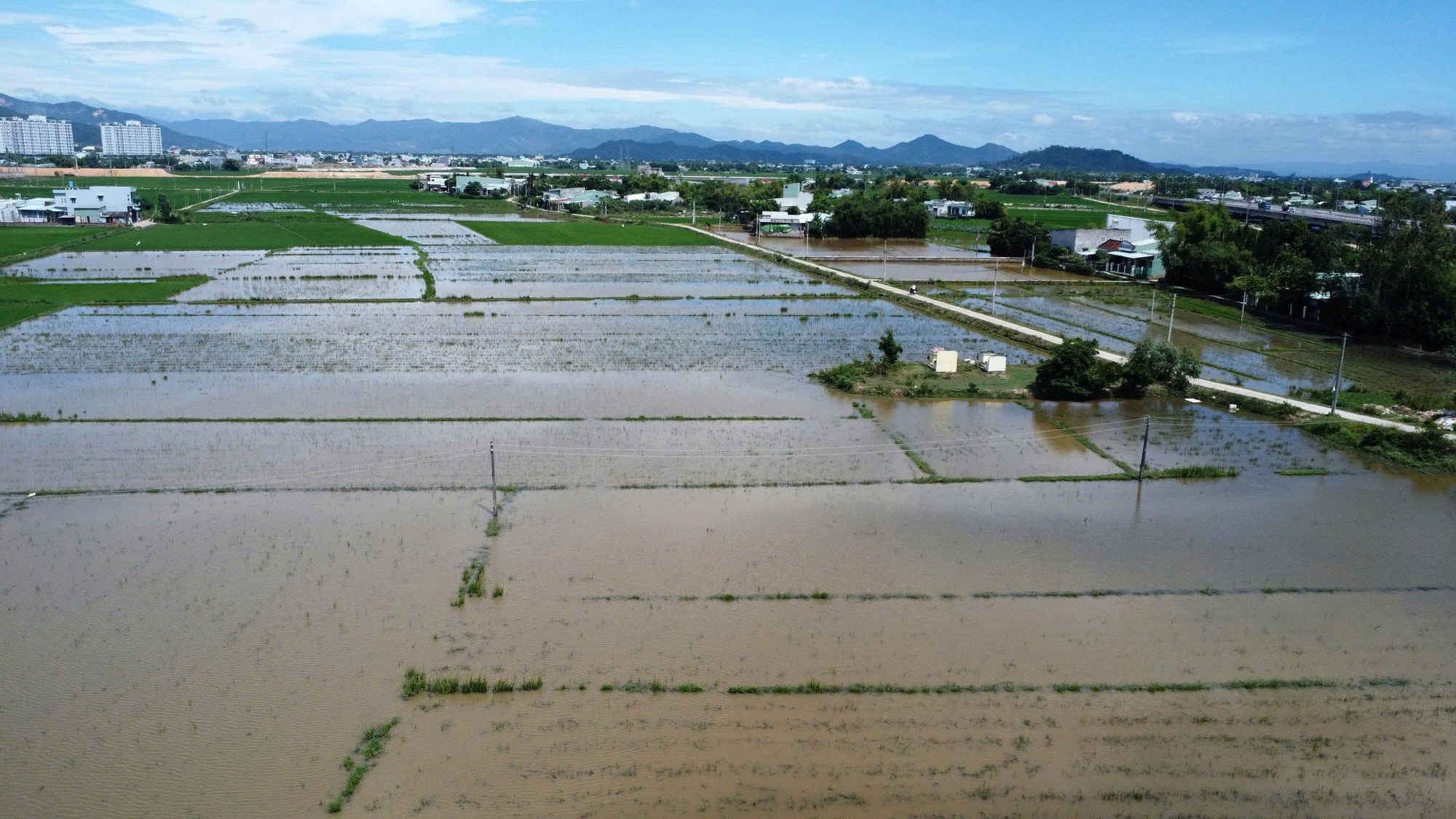 Đồng ruộng ngập nước v&igrave; cống tho&aacute;t lũ bị chặn- Ảnh 4.