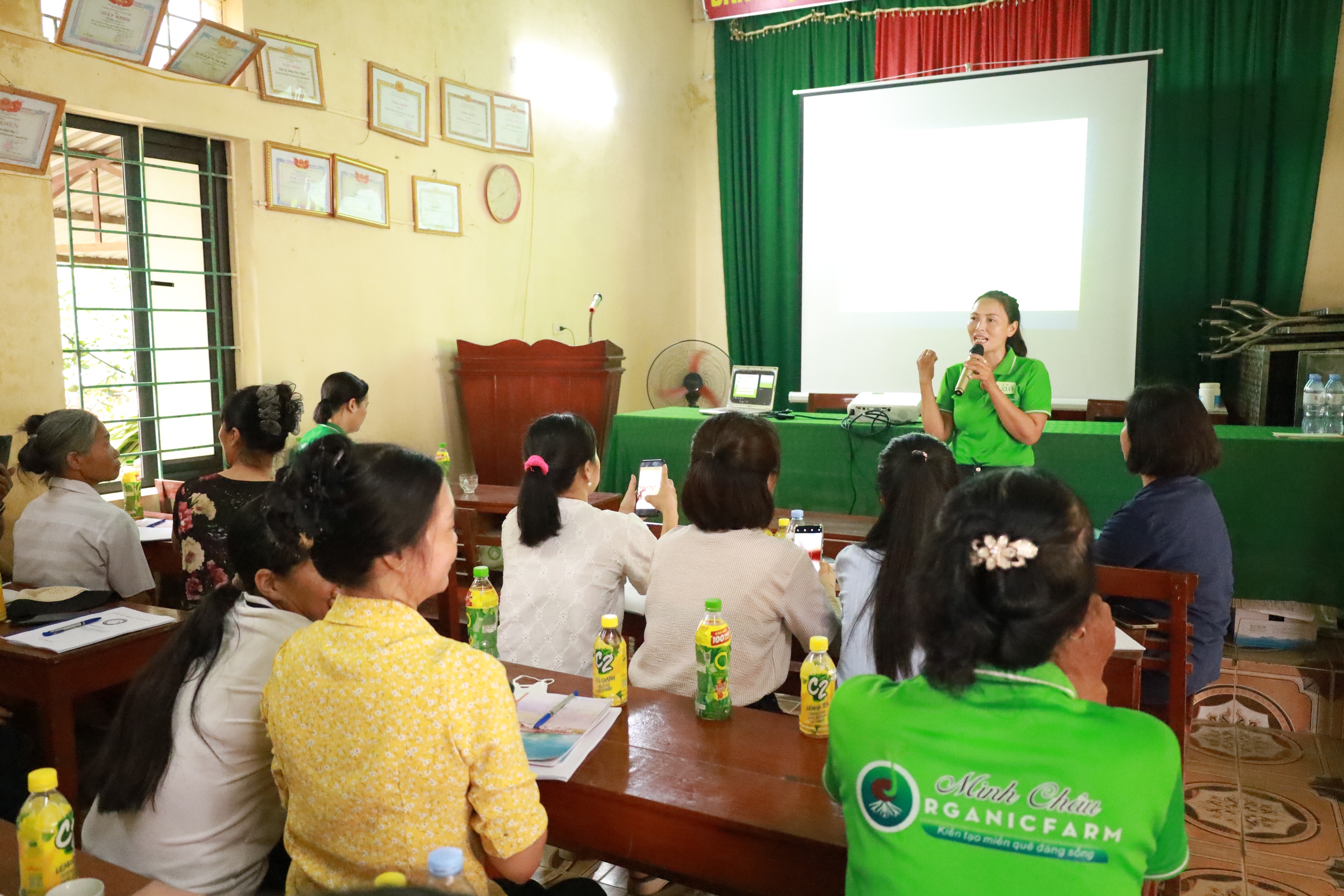 Người phụ nữ 'xanh' ở xã đảo Minh Châu - Ảnh 1.